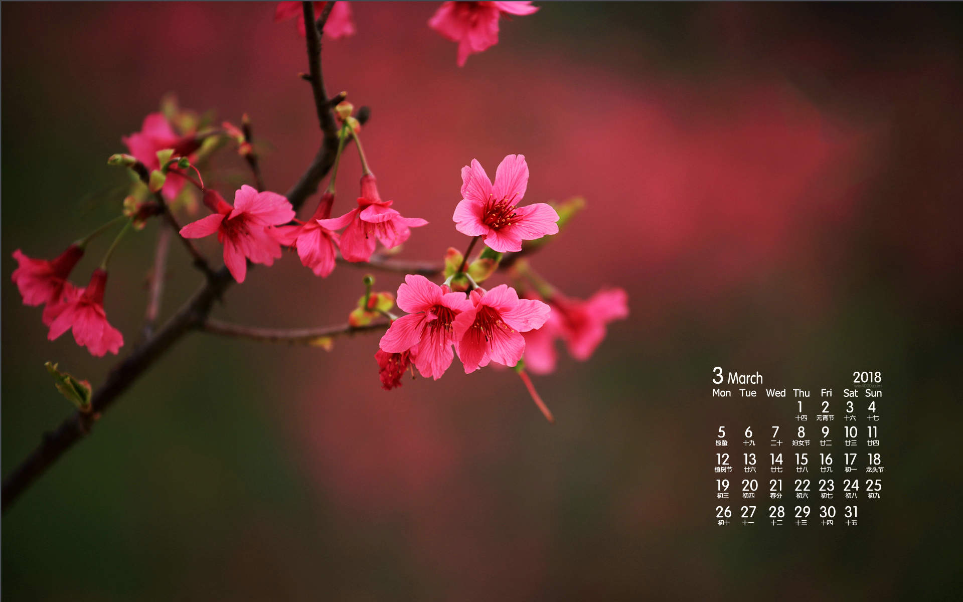 2018年3月樱花唯美日历图片桌面壁纸图片