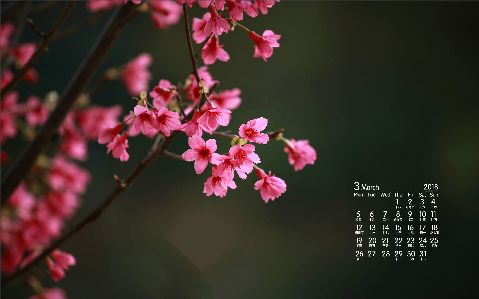 2018年3月樱花唯美日历图片桌面壁纸图片