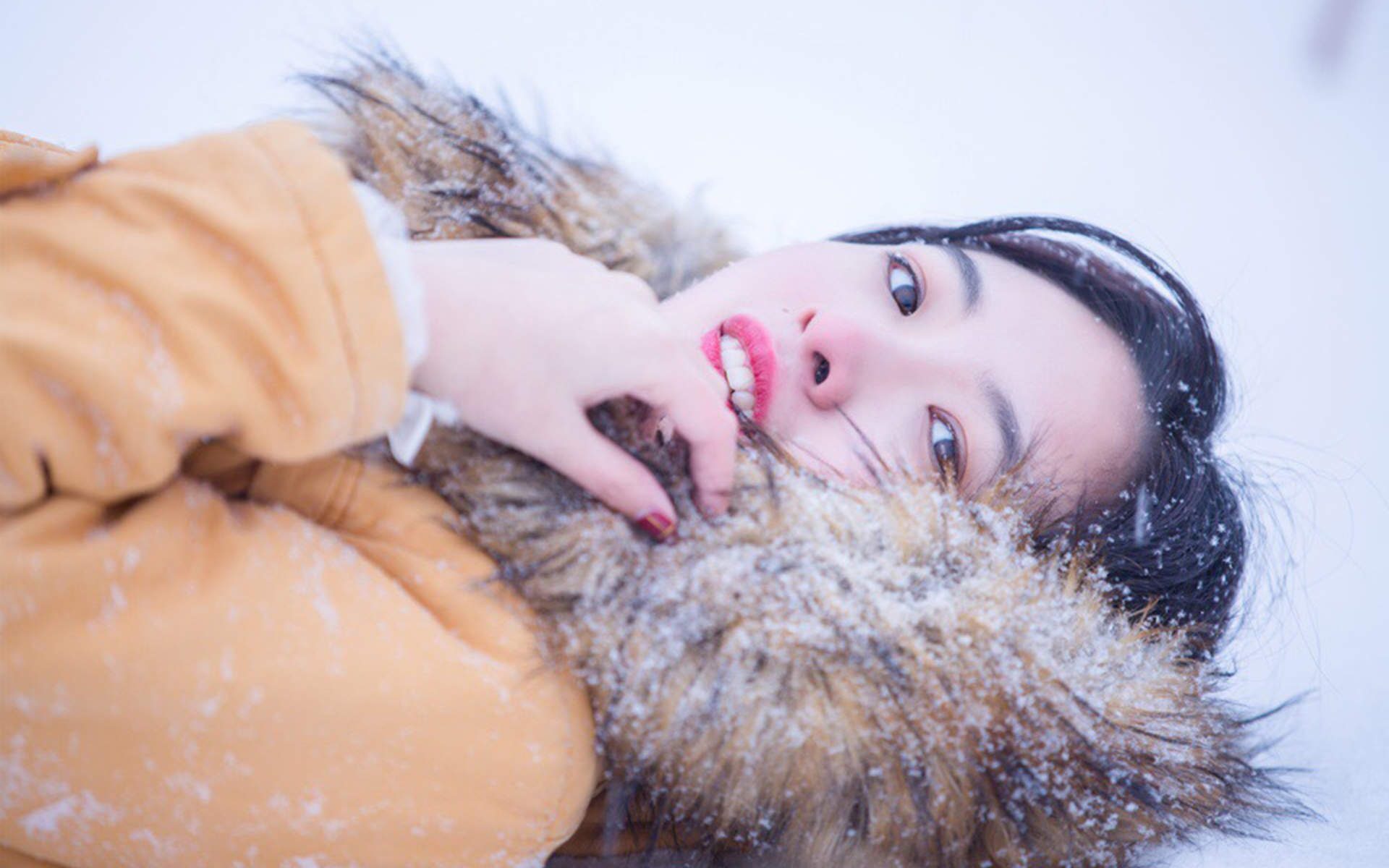 冬天雪景唯美手机壁纸图片图片