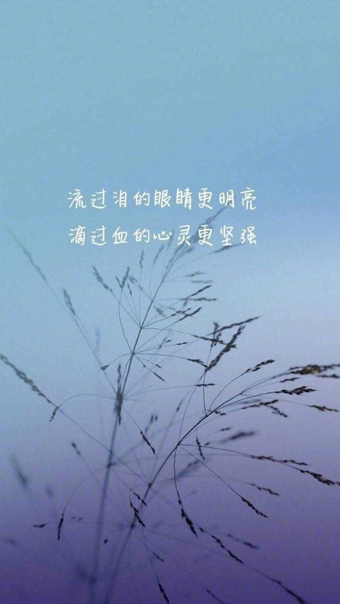悲伤文字语录图片高清手机壁纸图片