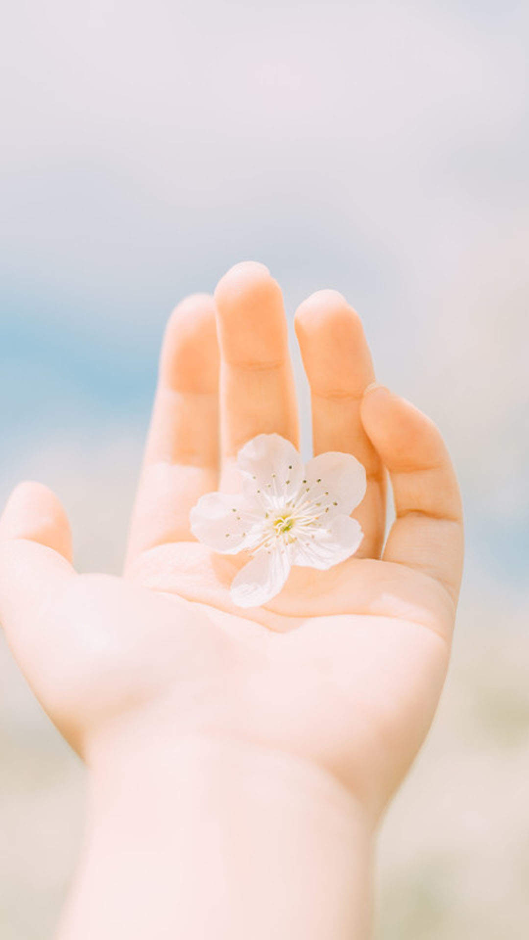 倪妮春日梨花大片高清桌面壁纸图片
