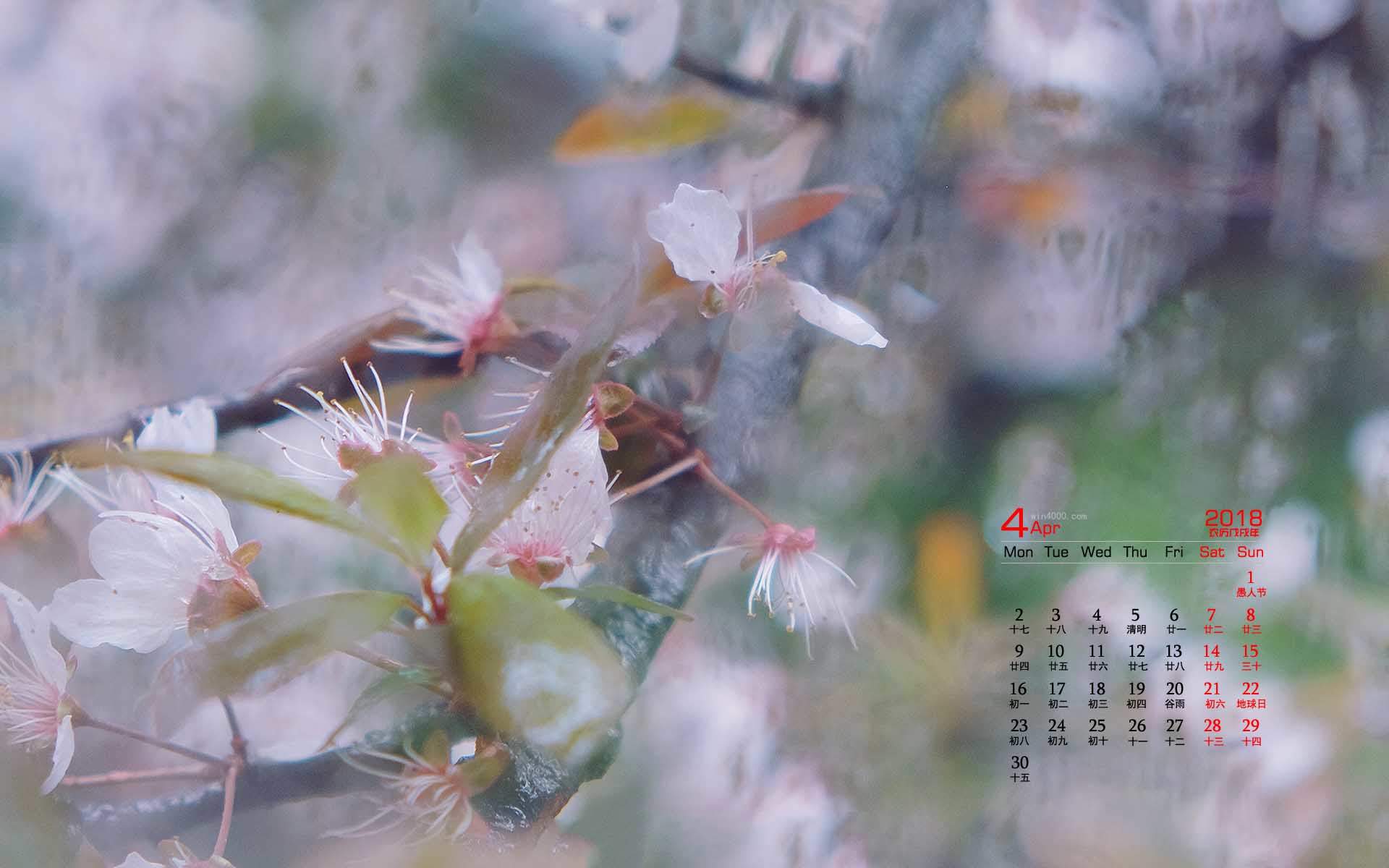 樱花图片摄影高清电脑桌面壁纸图片