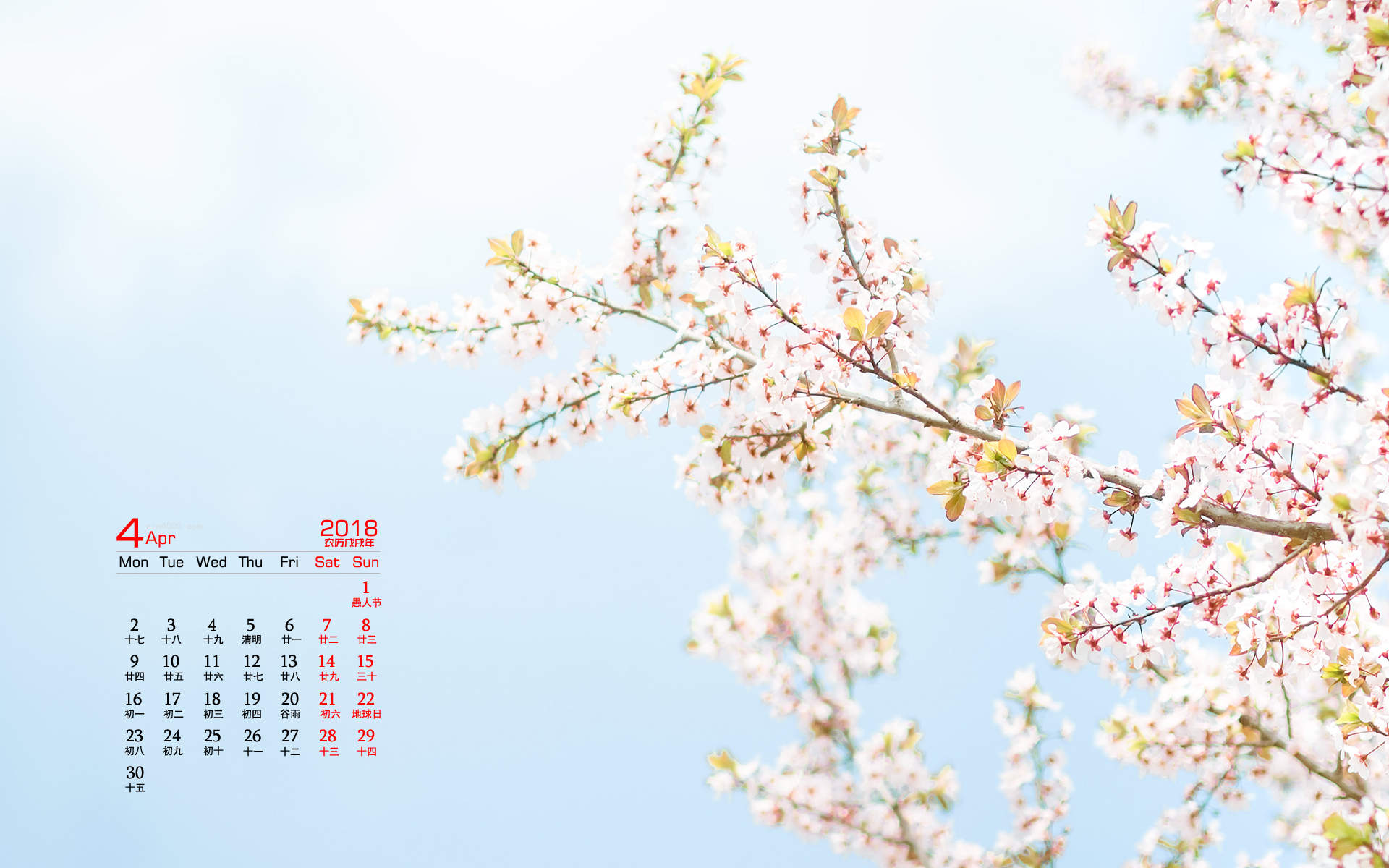 2018年4月樱花唯美日历图片桌面壁纸图片