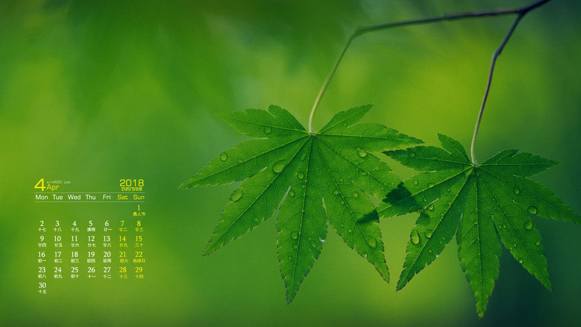 绿色图片图片
