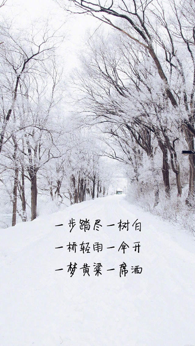 爱情语录纯色手机壁纸图片