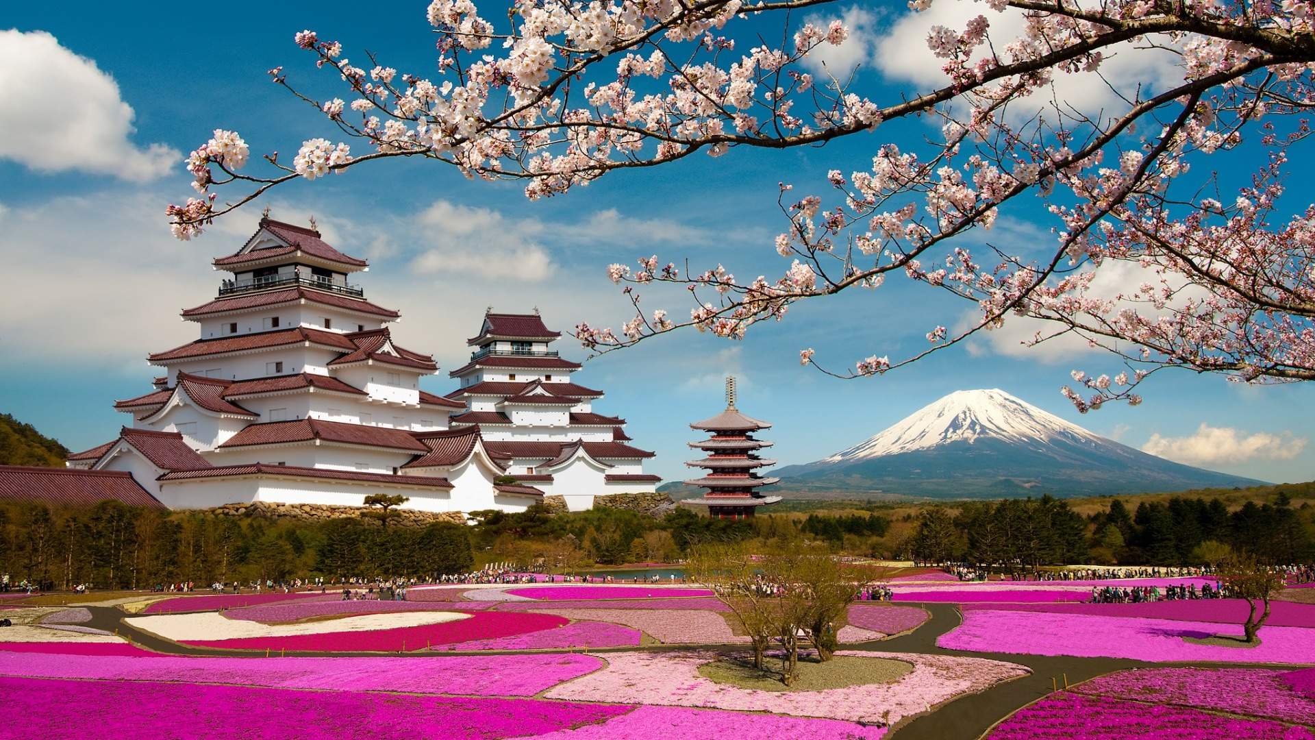 2019年4月春日唯美樱花高清日历壁纸图片