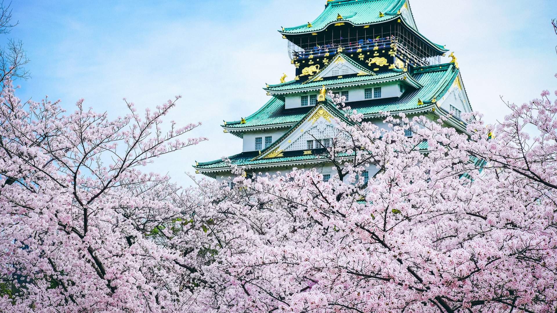 2019年4月春日唯美樱花高清日历壁纸图片