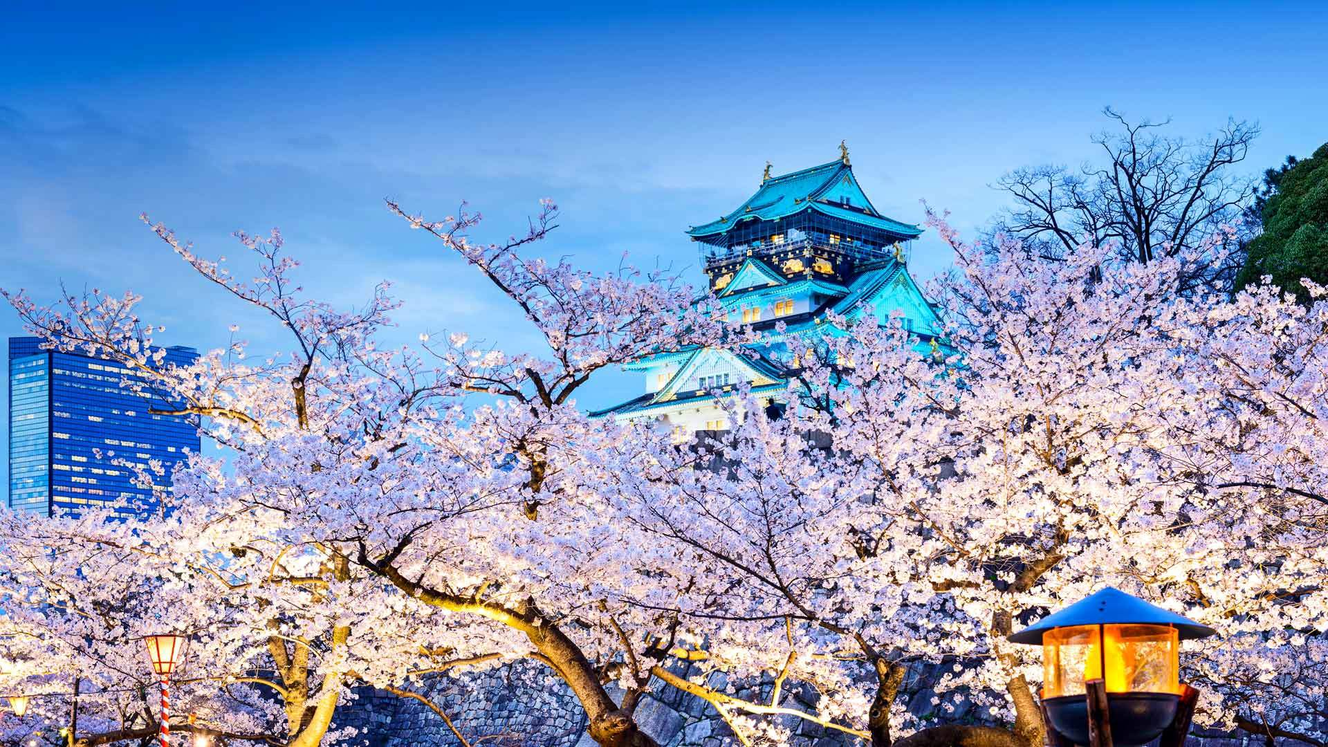 2019年4月春日唯美樱花高清日历壁纸图片