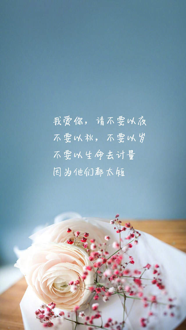 唯美爱情540x960手机壁纸图片
