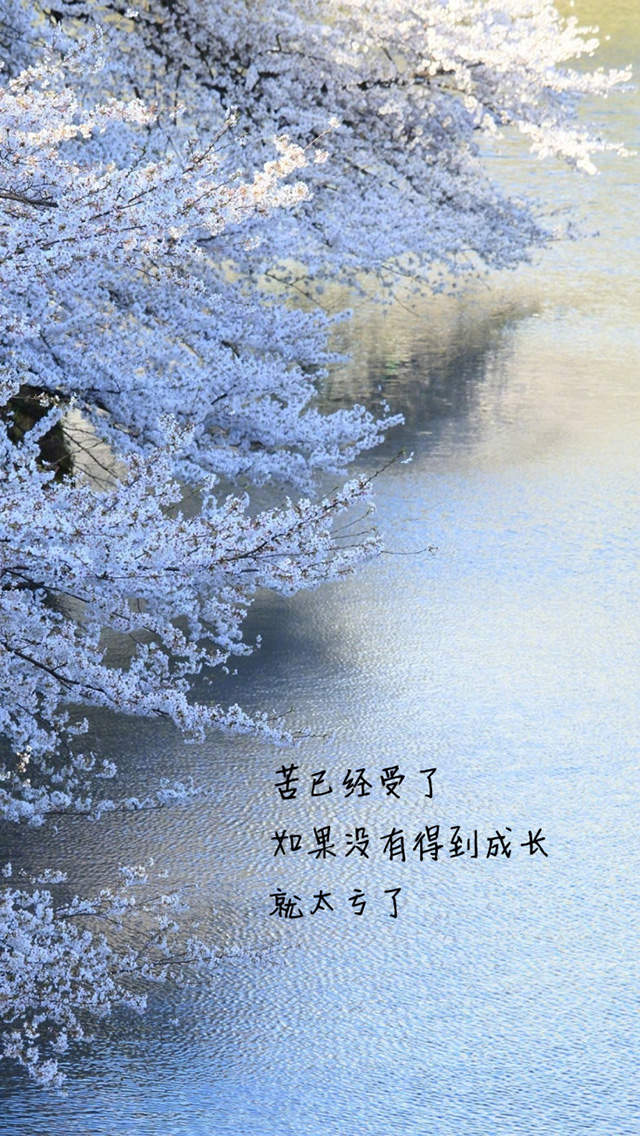 精选伤感文字唯美意境手机壁纸下载图片