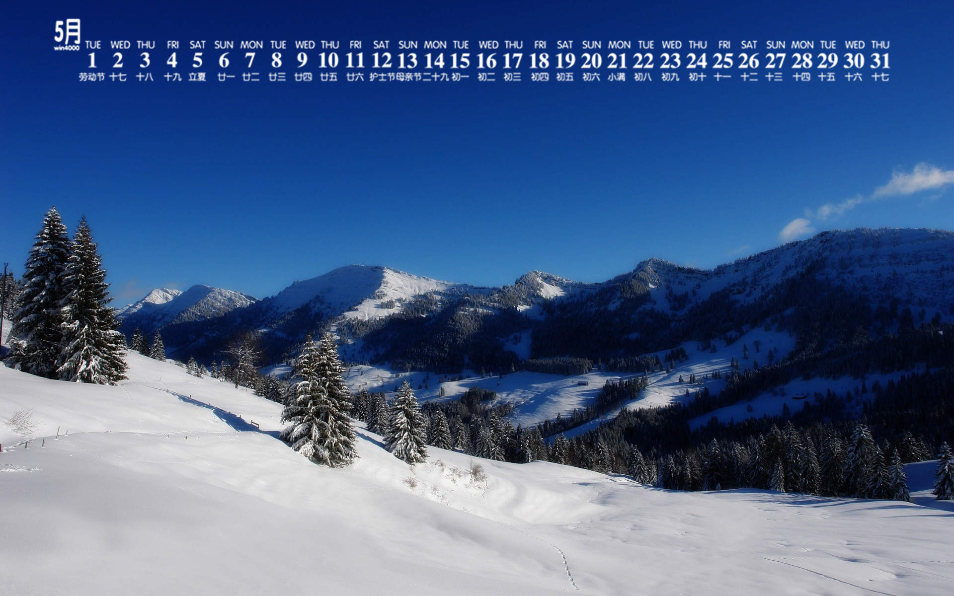 冬天雪景唯美手机壁纸图片图片