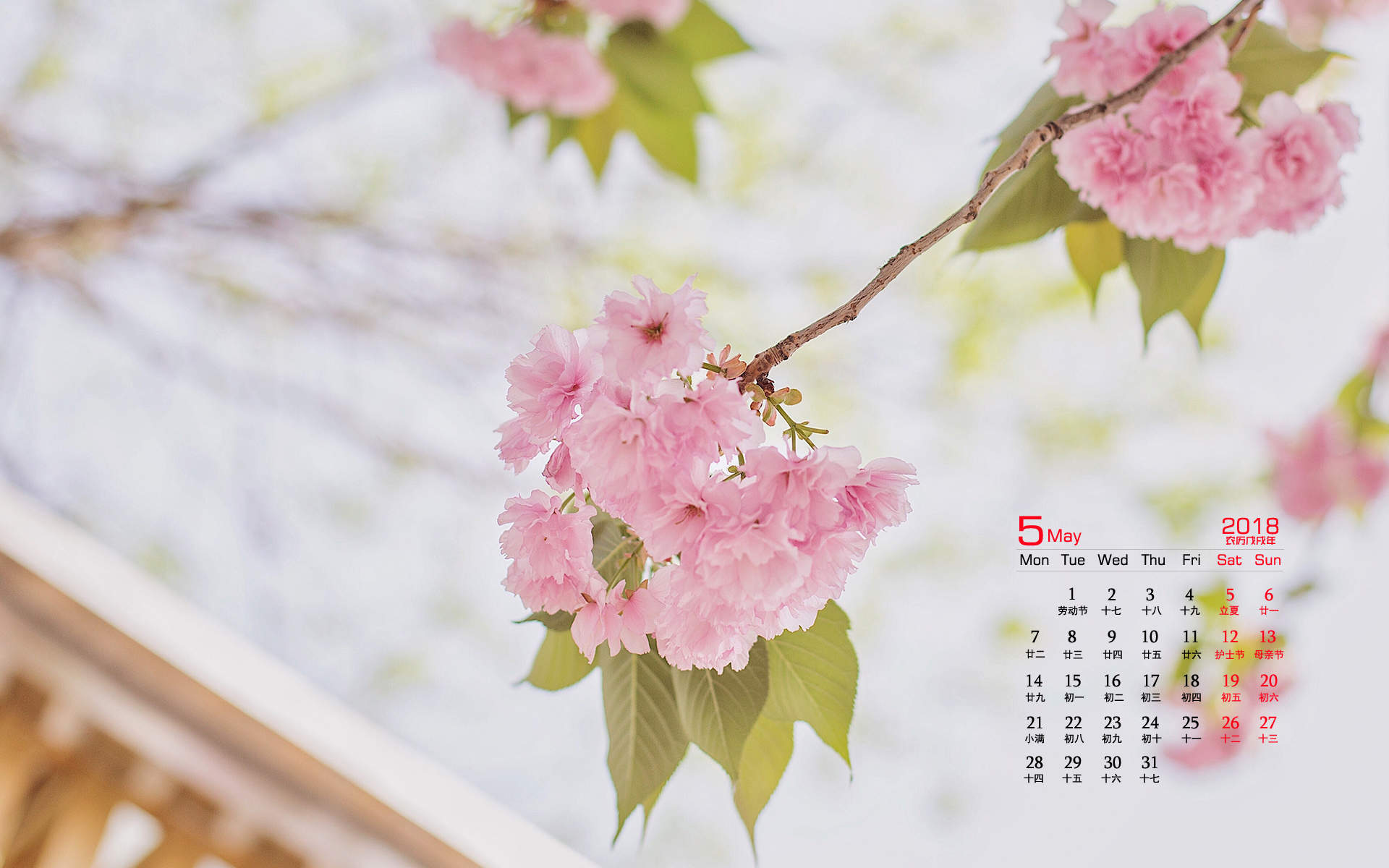 2019年4月春日唯美樱花高清日历壁纸图片