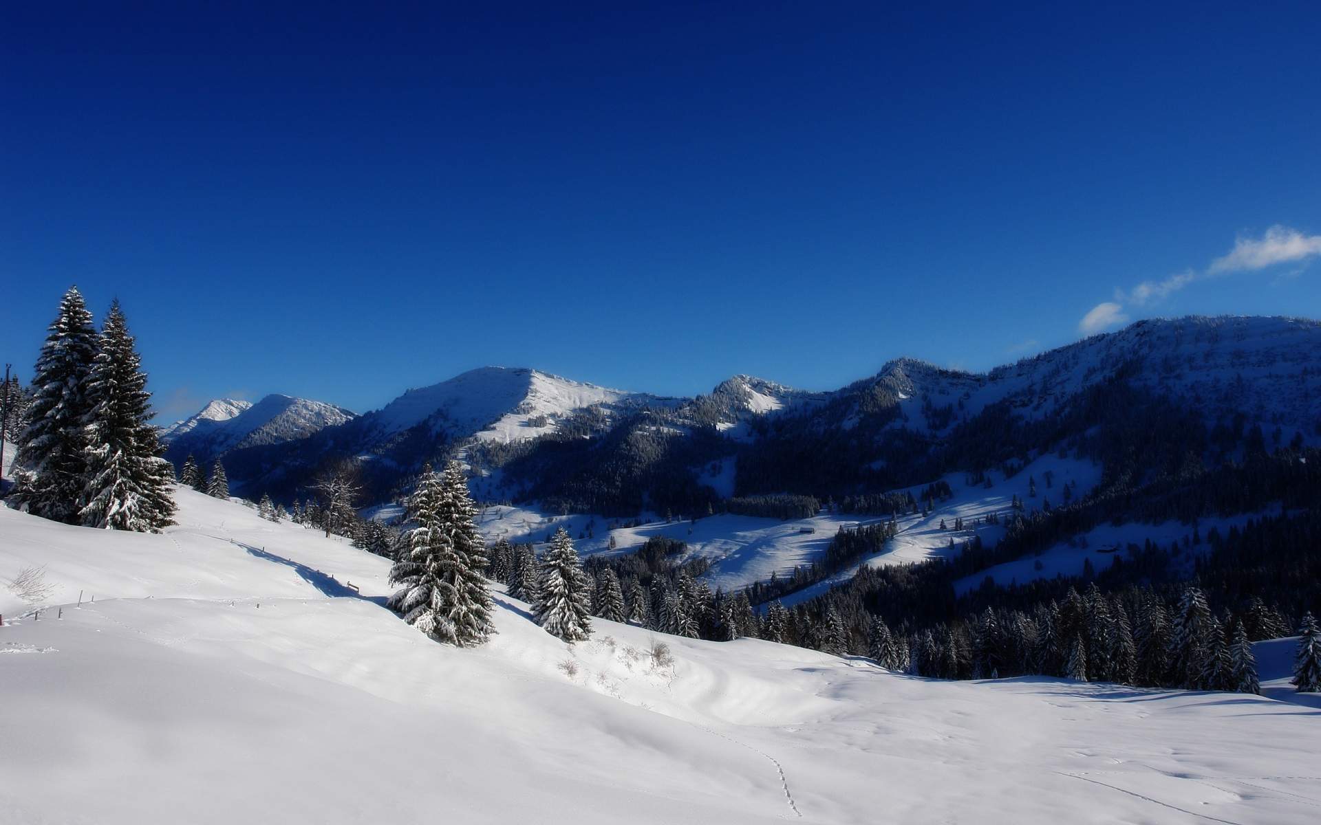 冬天雪景唯美手机壁纸图片图片