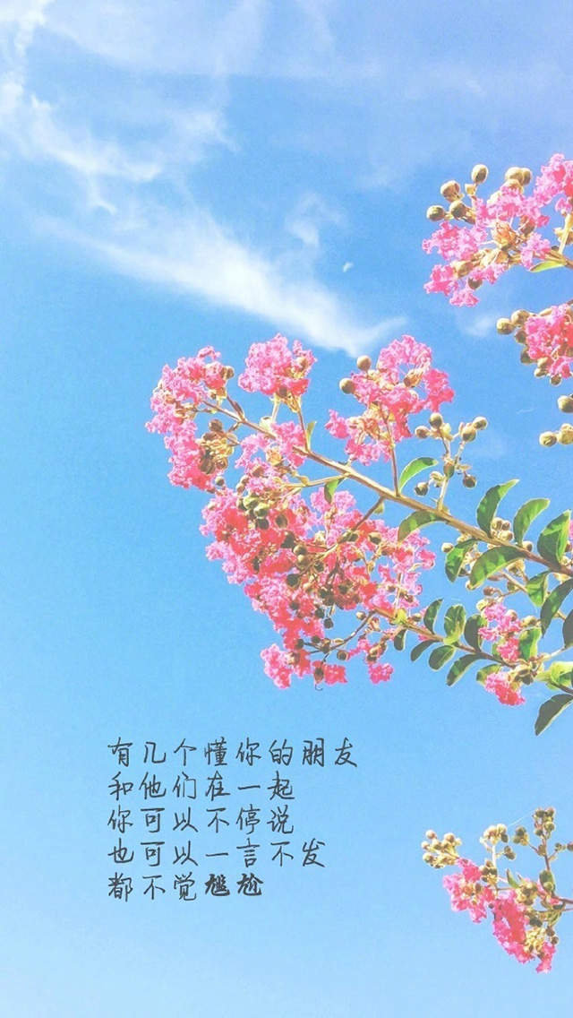 自勉励志文字图片高清手机壁纸图片
