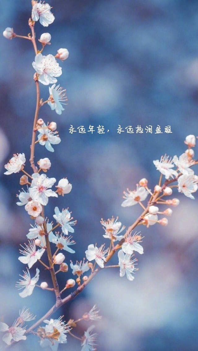 自勉励志文字图片高清手机壁纸图片