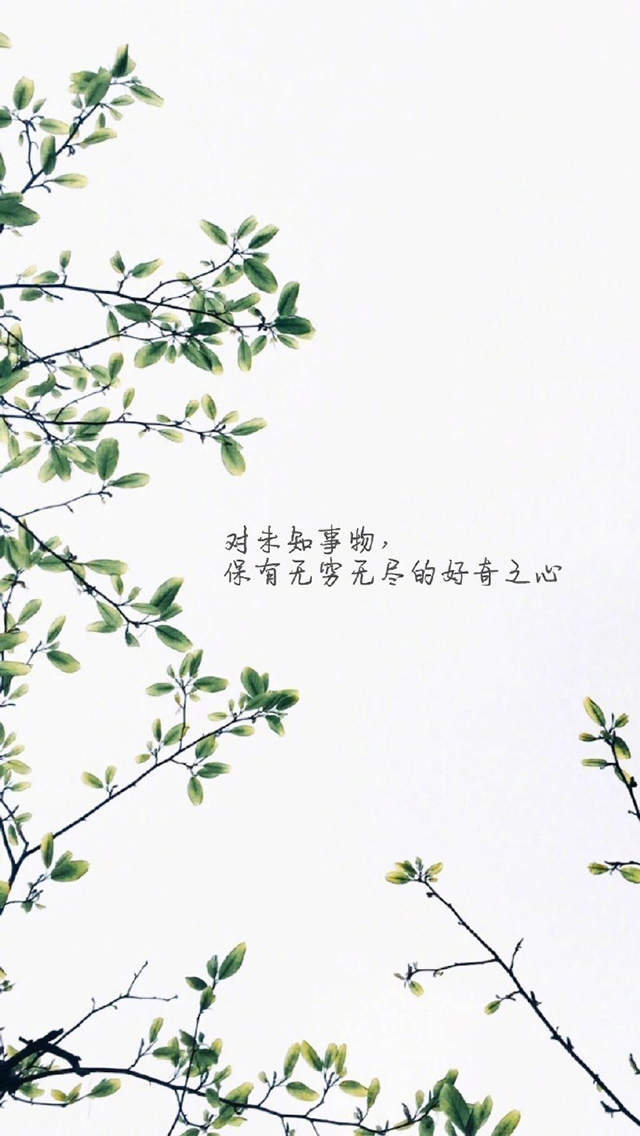 自勉励志文字图片高清手机壁纸图片