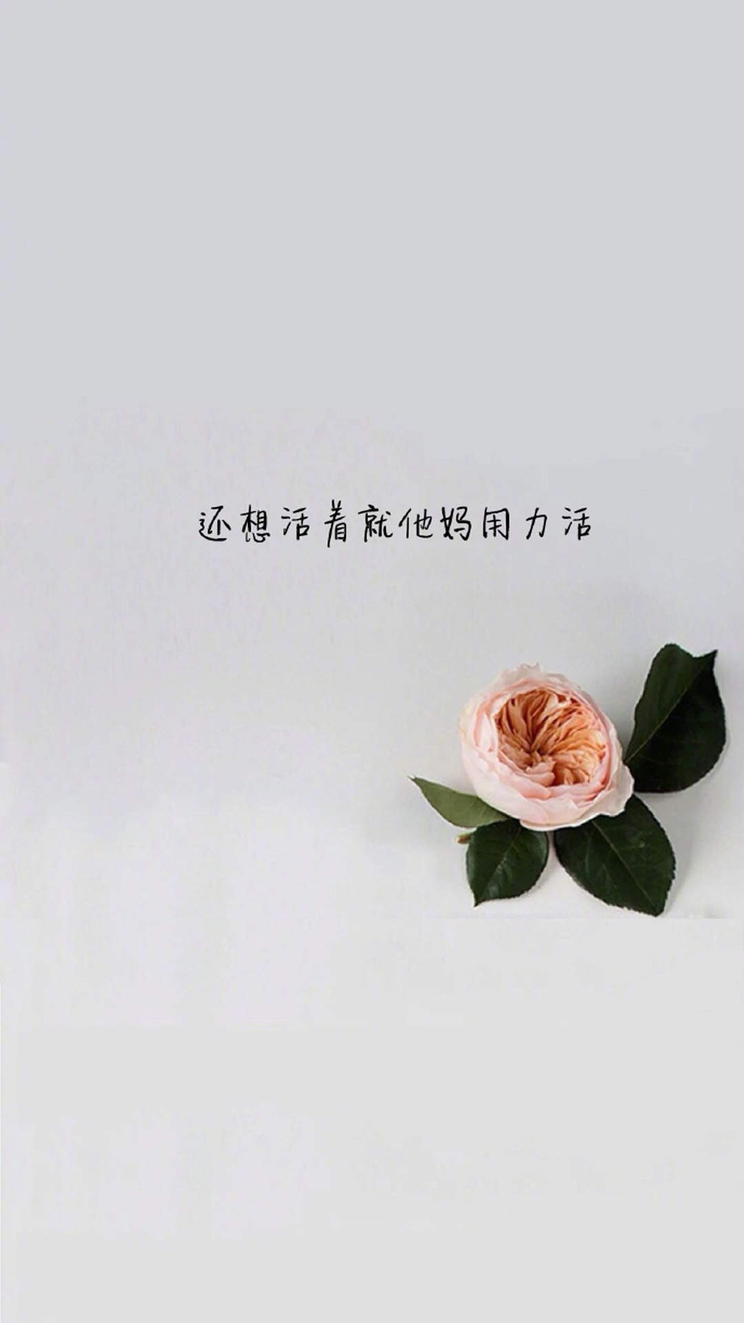 精选励志文字语录图片手机壁纸图片