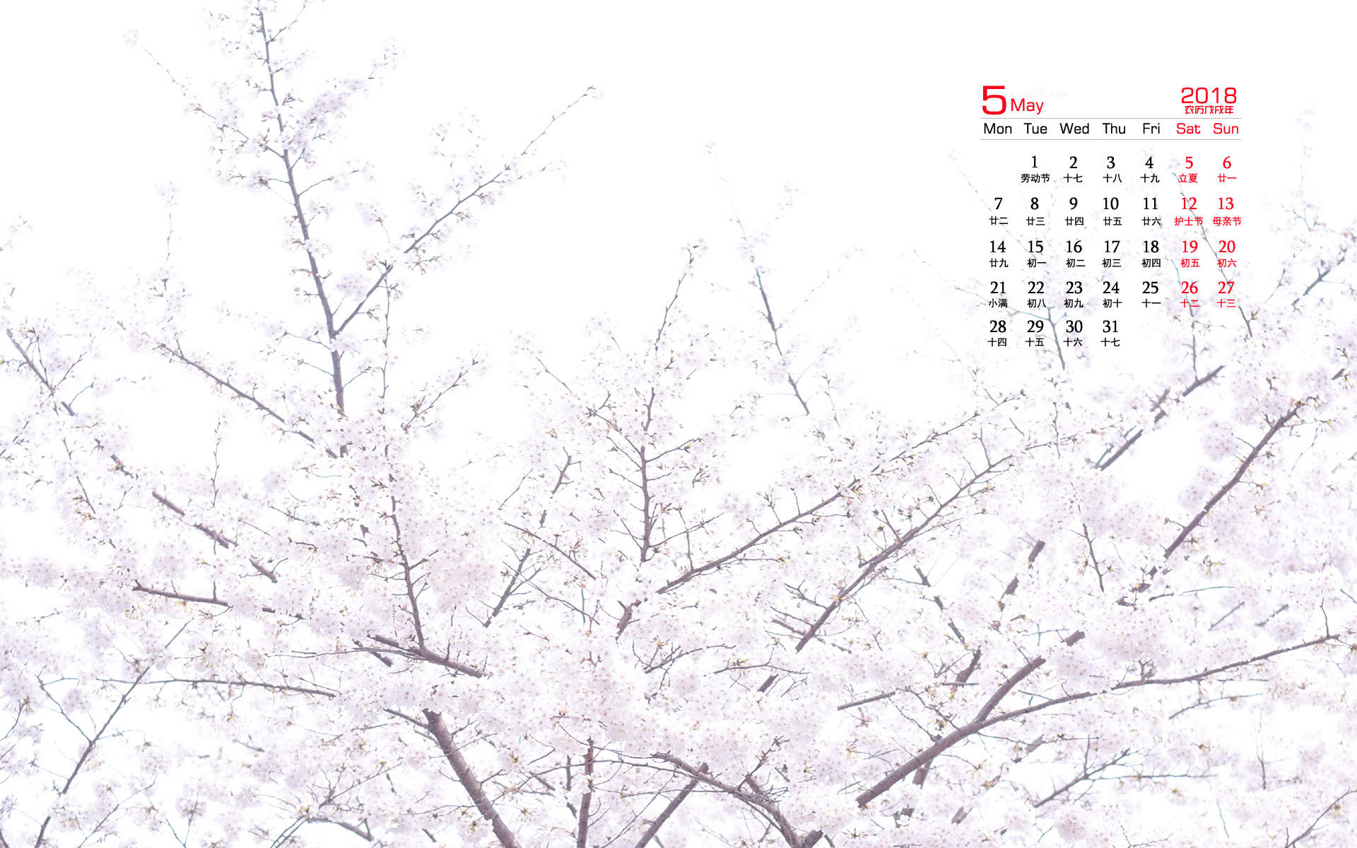 2019年4月春日唯美樱花高清日历壁纸图片