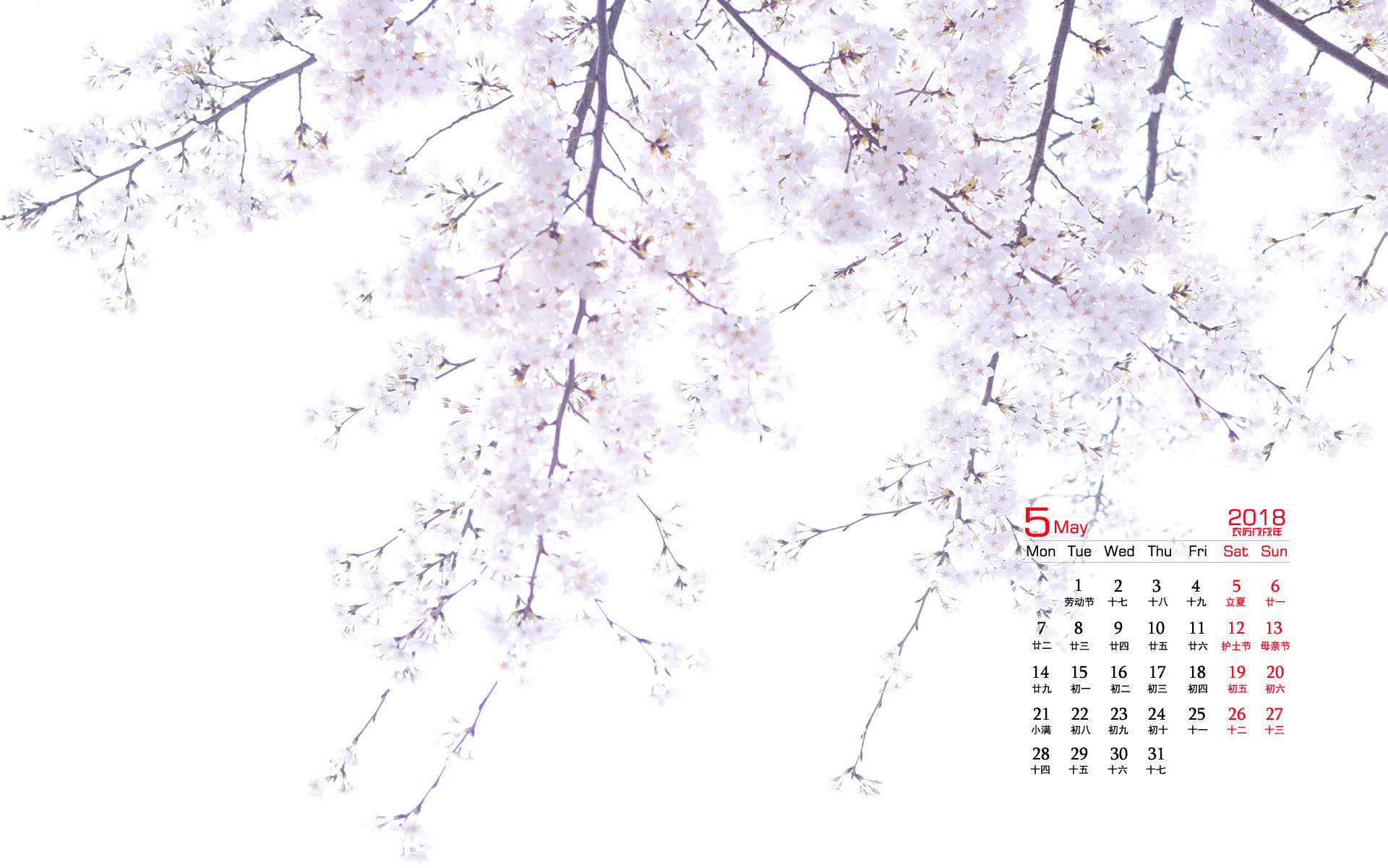 2019年4月春日唯美樱花高清日历壁纸图片