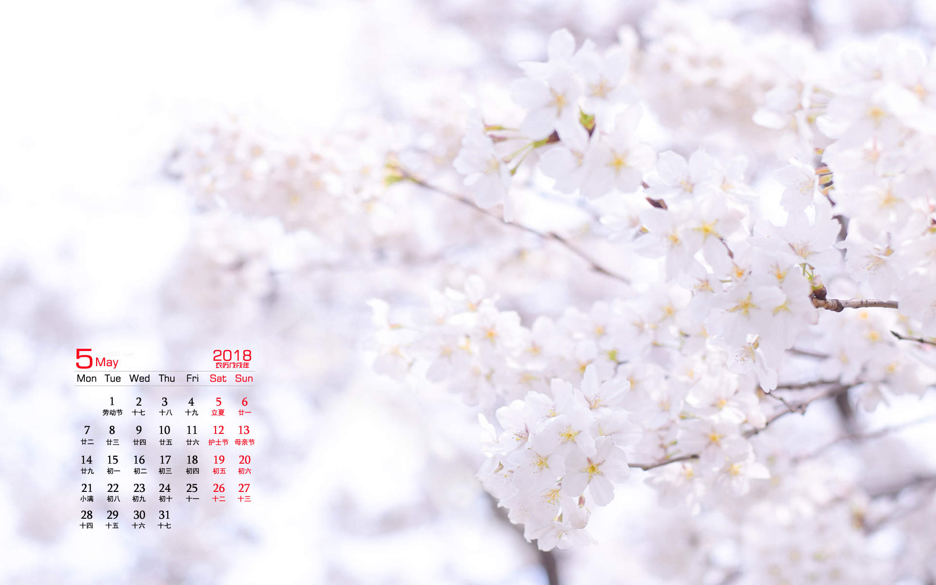 2019年4月春日唯美樱花高清日历壁纸图片