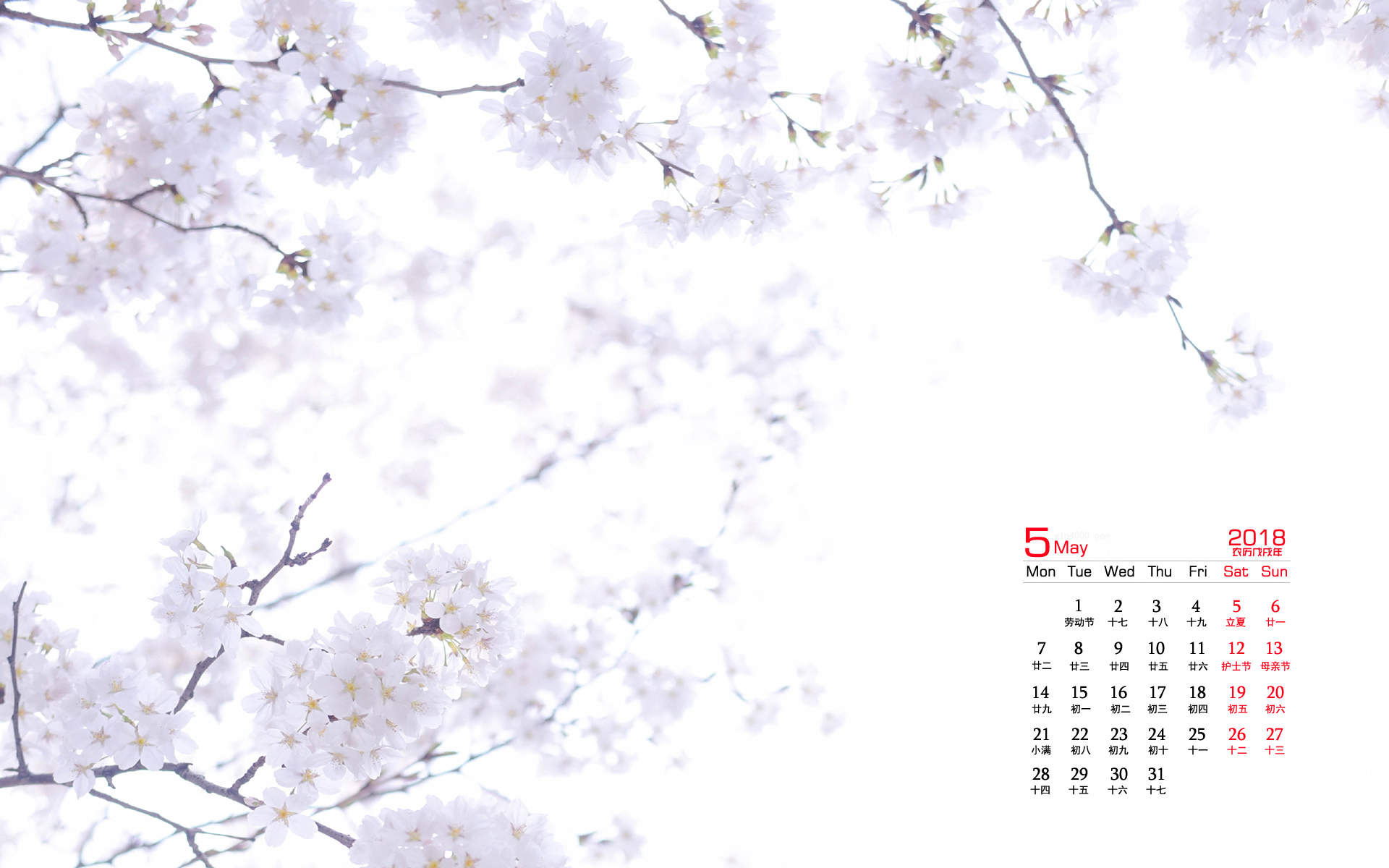 2019年4月春日唯美樱花高清日历壁纸图片