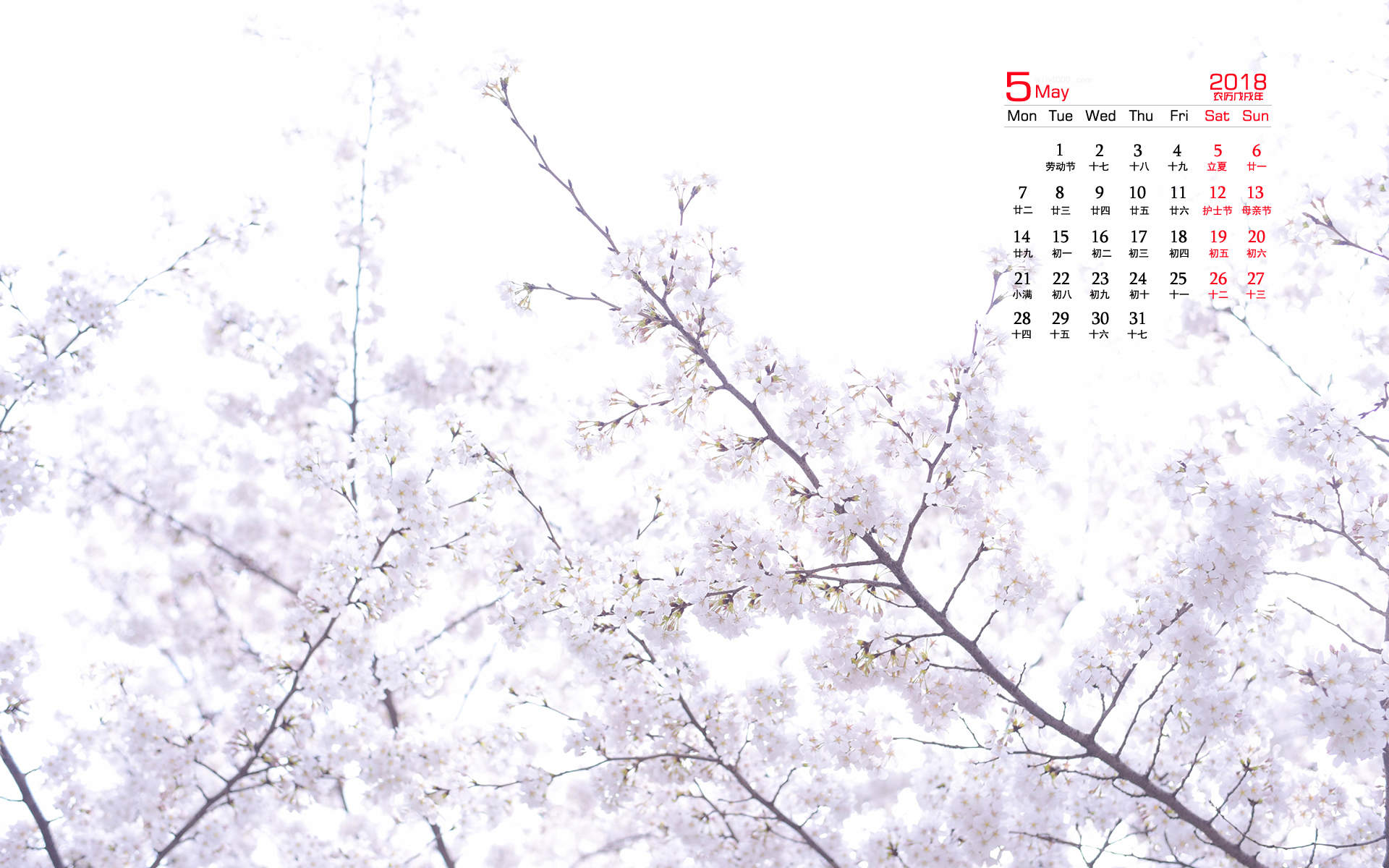 2019年4月春日唯美樱花高清日历壁纸图片