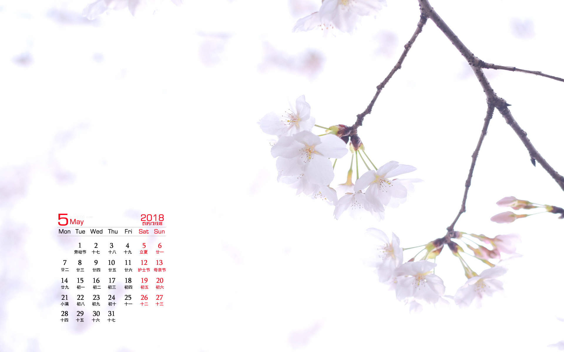 三月樱花唯美高清桌面壁纸图片