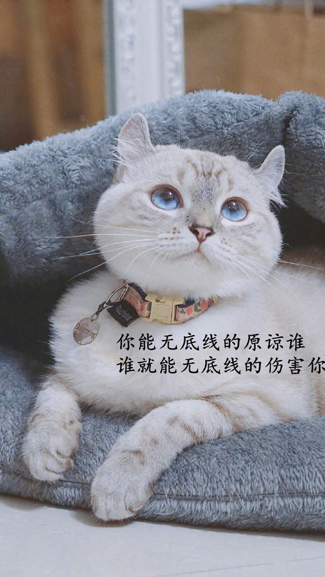 甜美的草莓高清手机壁纸图片