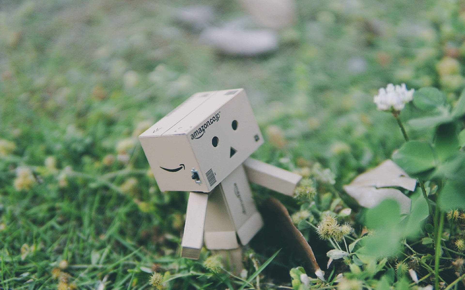 唯美简约草莓高清桌面壁纸图片