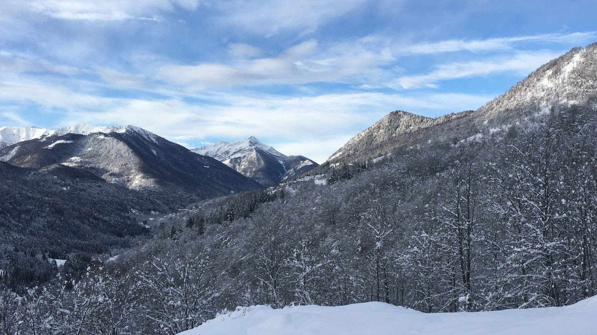 冬天雪景唯美手机壁纸图片图片