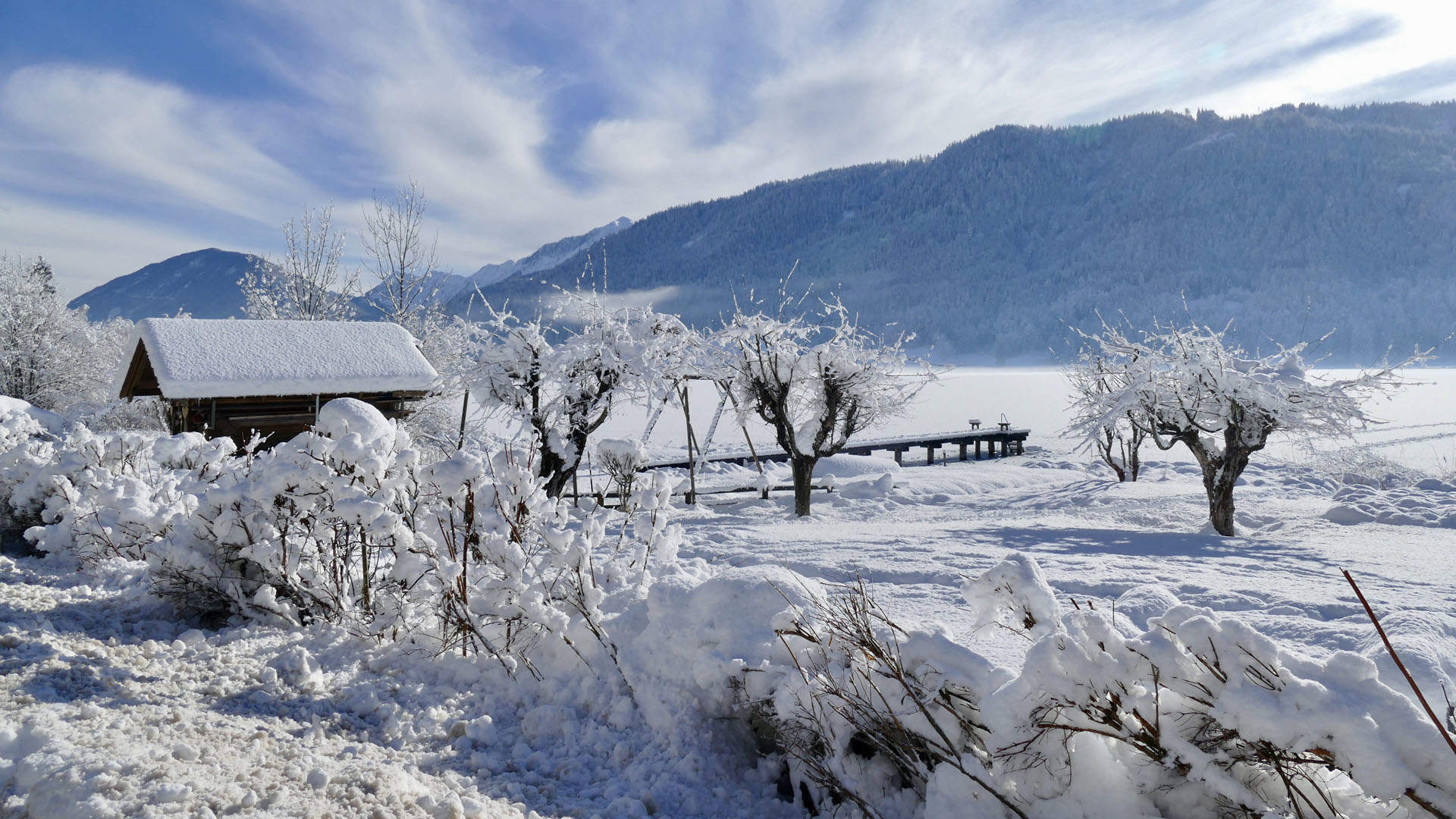 冬天雪景唯美手机壁纸图片图片
