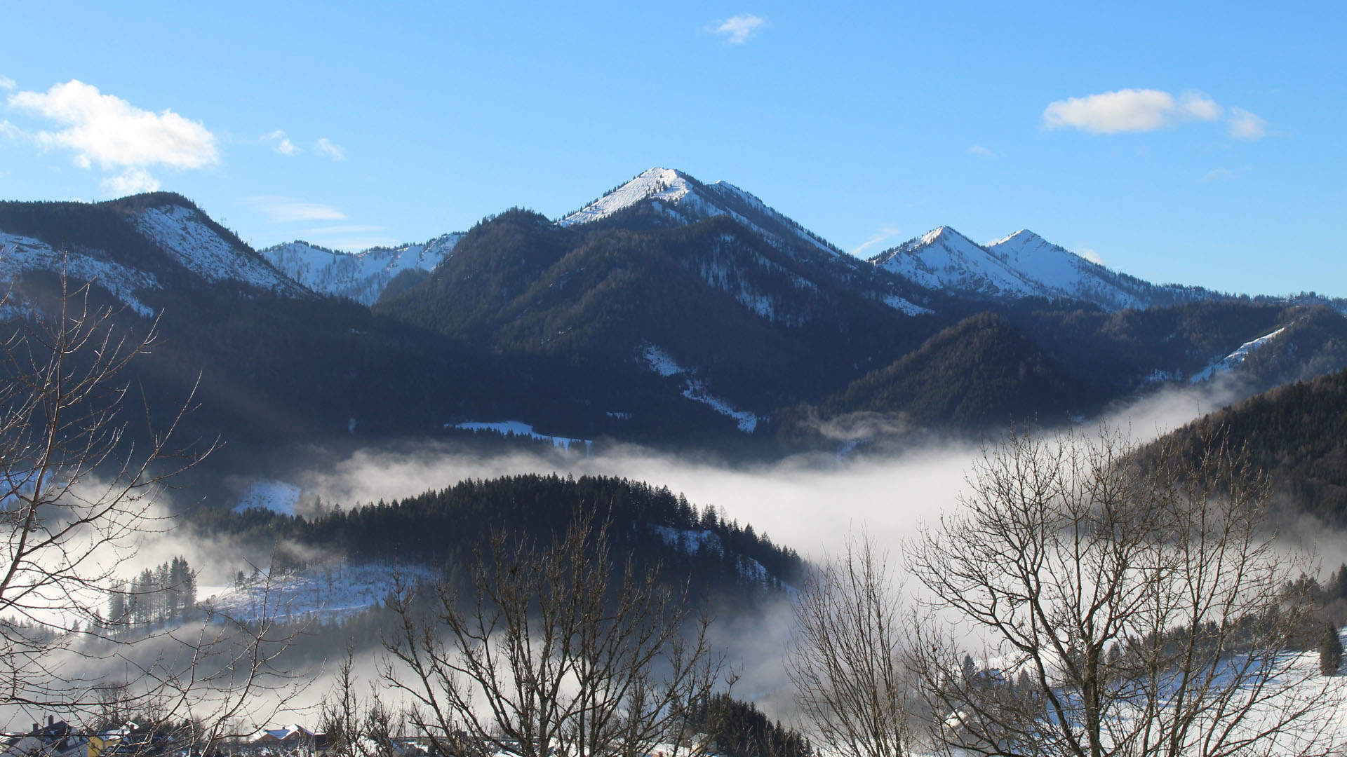 冬天雪景唯美手机壁纸图片图片