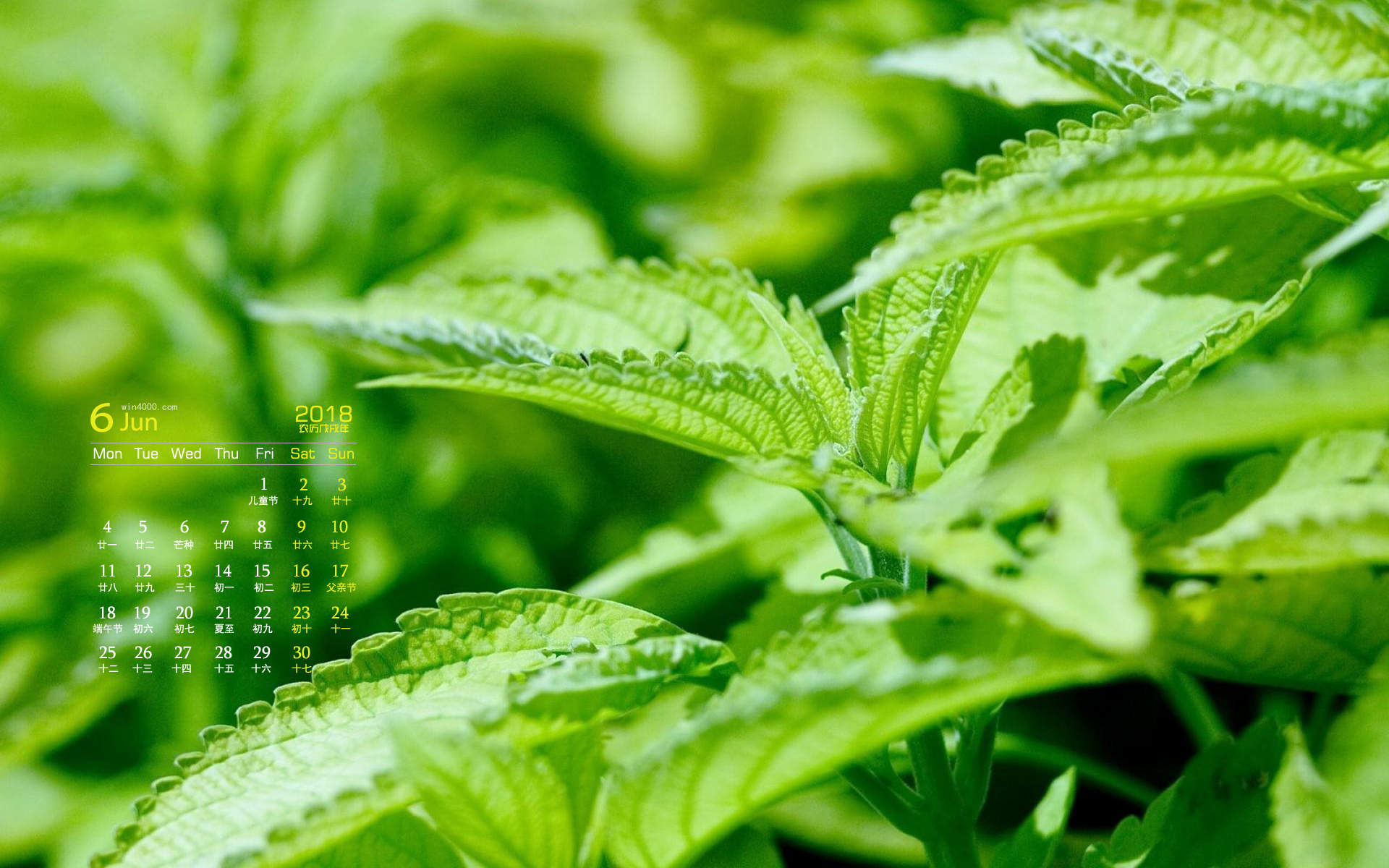 ins风简单小清新桌面壁纸图片图片