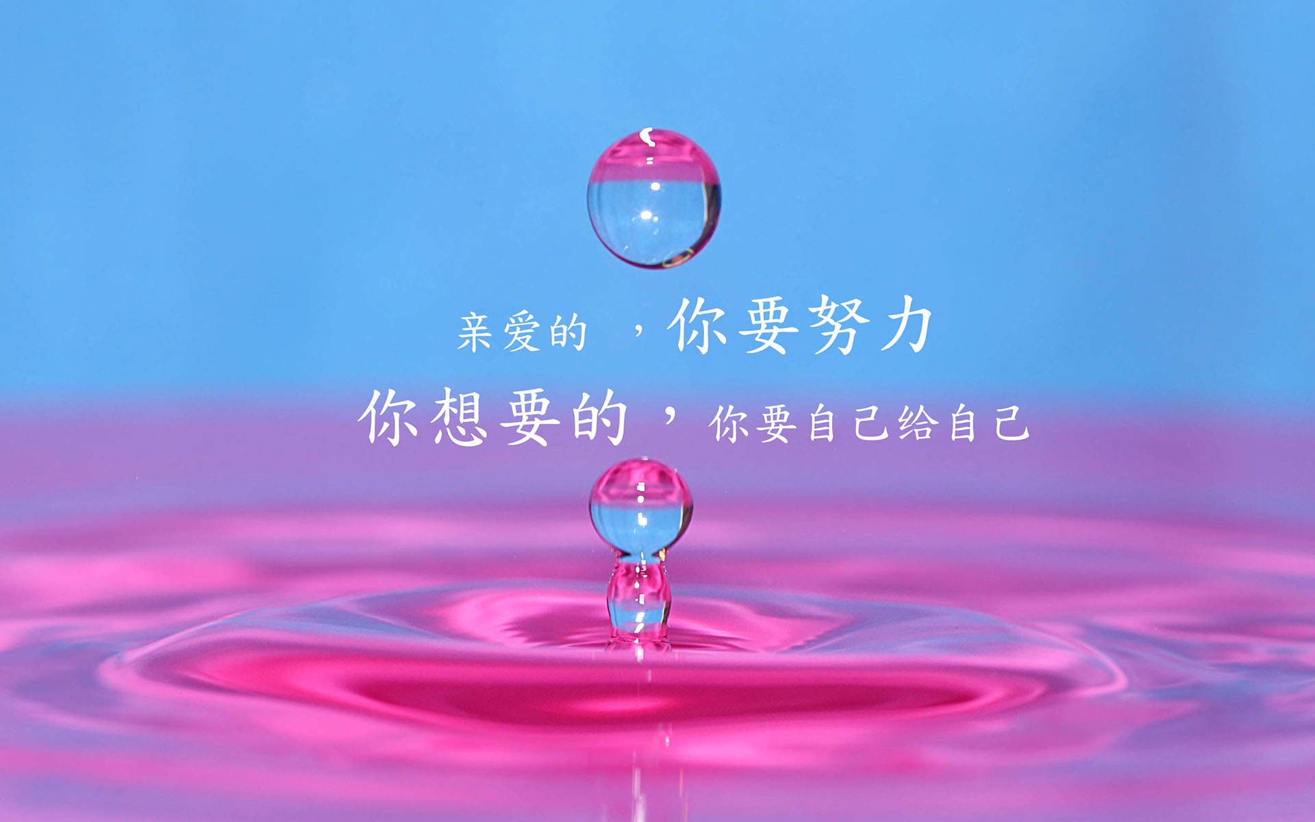 减肥励志文字高清手机壁纸图片