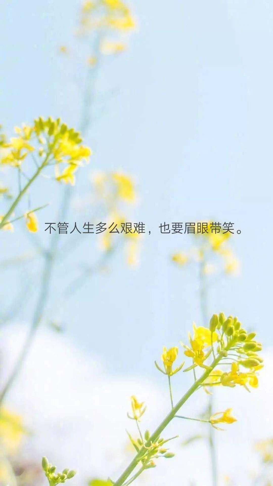 温馨感动谢谢你主题伤感文字语录个性非主流带字伤心图片图片