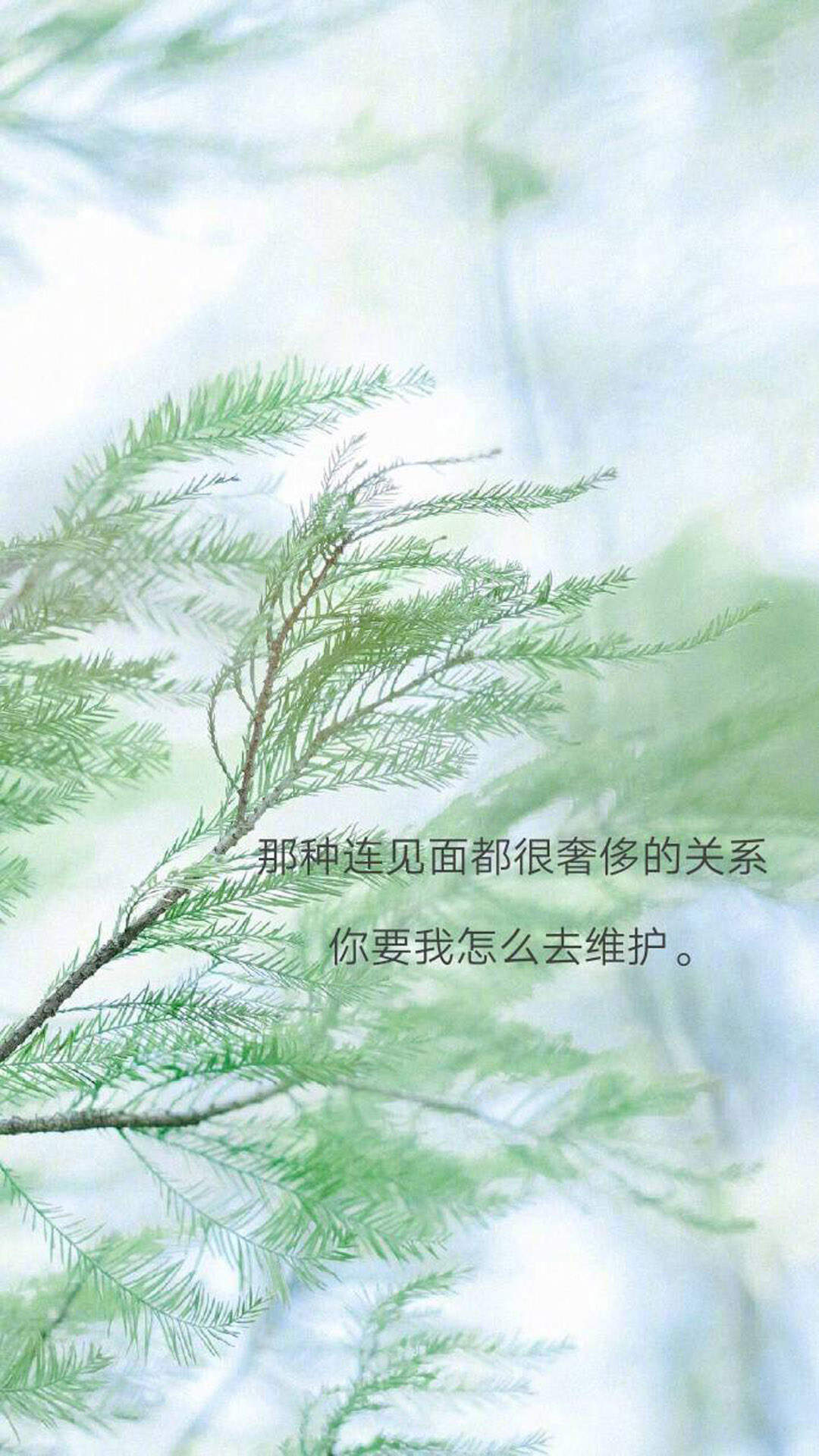 温馨感动谢谢你主题伤感文字语录个性非主流带字伤心图片图片