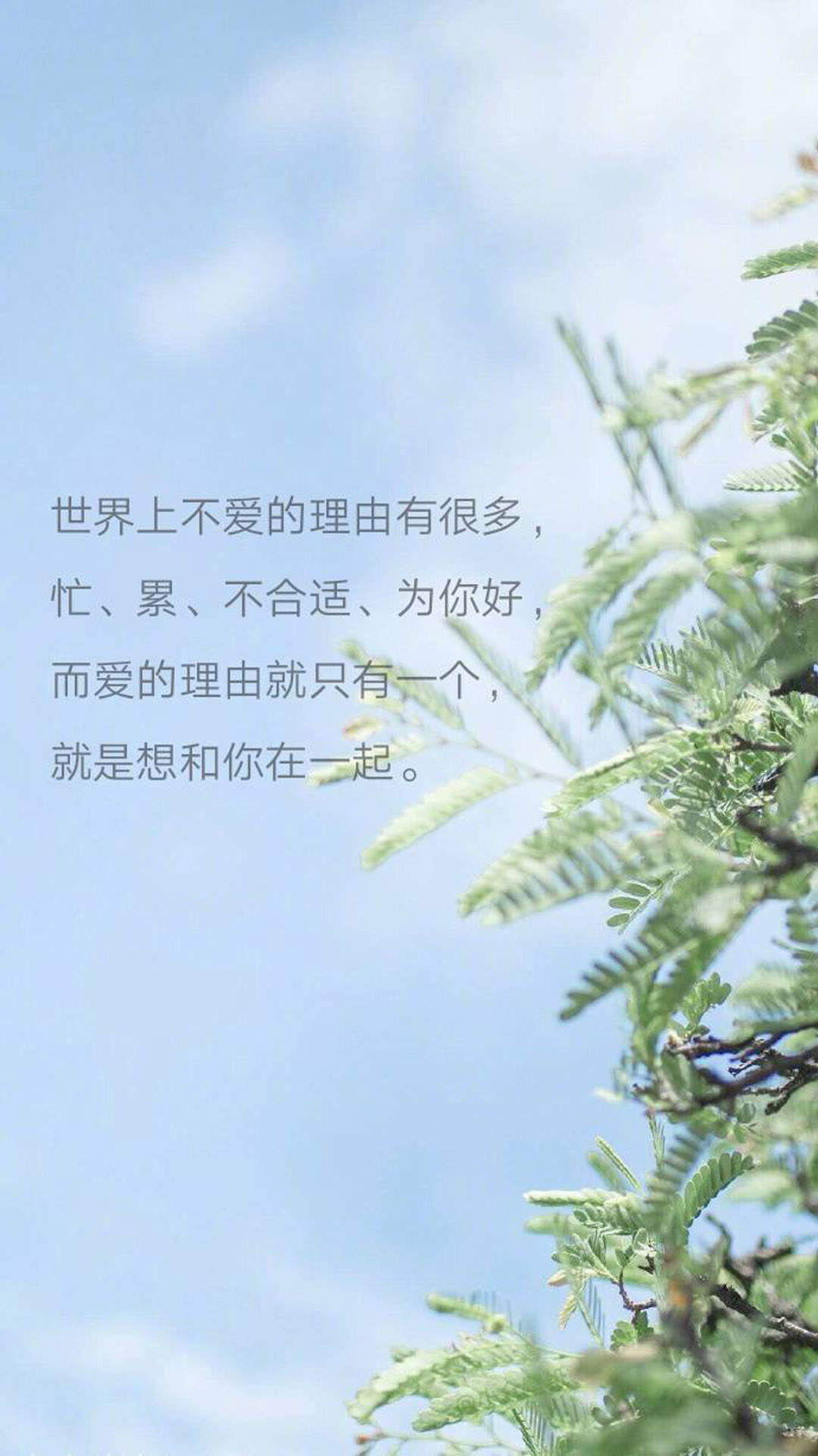 温馨感动谢谢你主题伤感文字语录个性非主流带字伤心图片图片