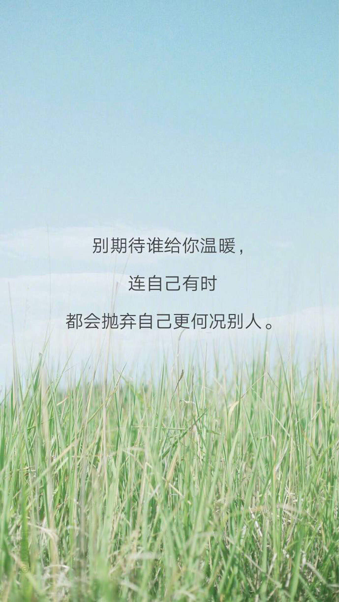 愚人节伤感文字图片桌面壁纸图片