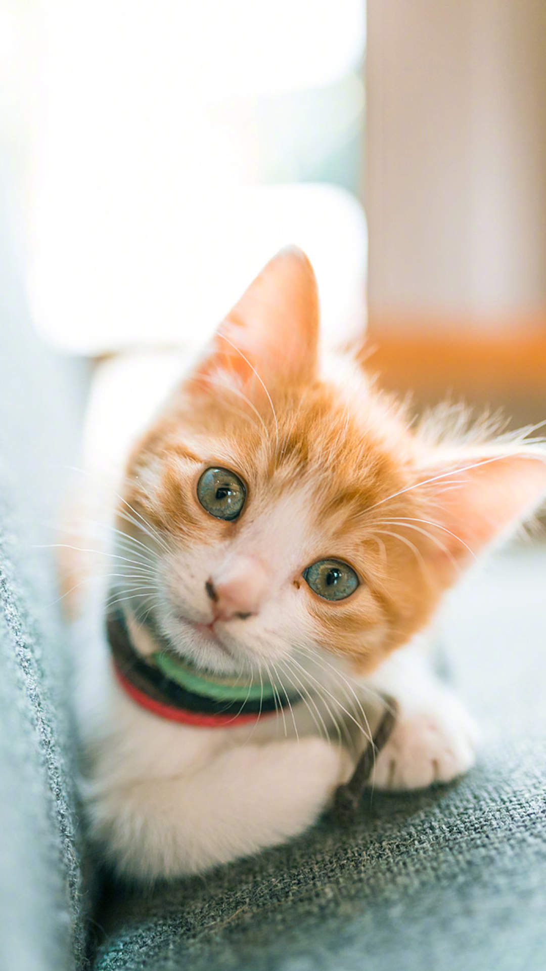 90后性感小猫咪写真图片