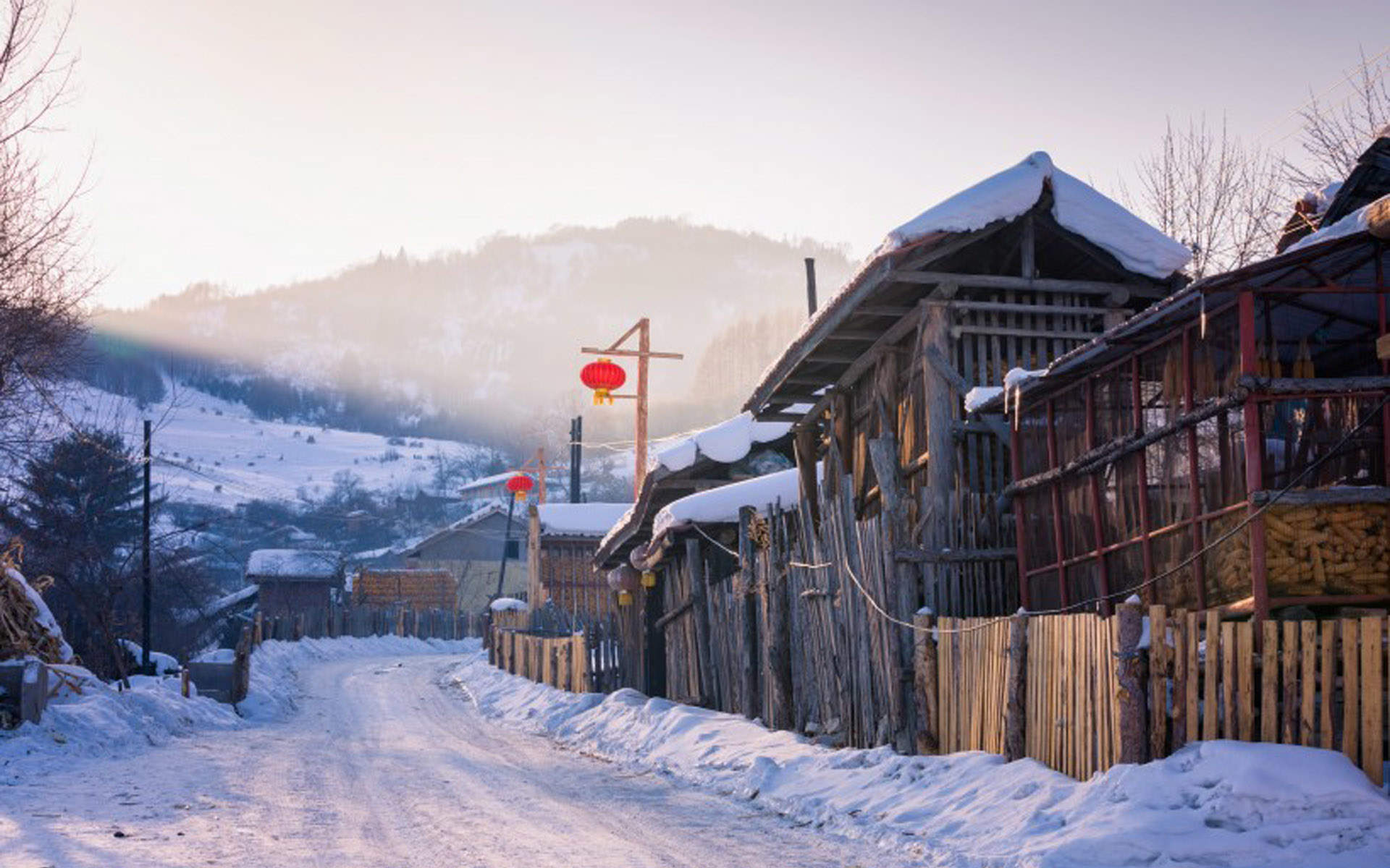 冬天雪景唯美手机壁纸图片图片