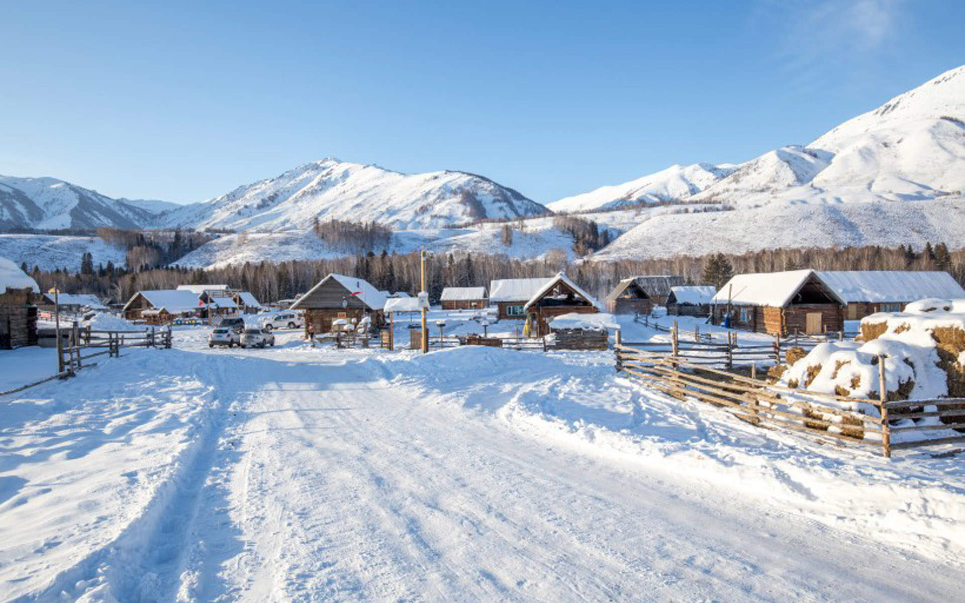 冬天雪景唯美手机壁纸图片图片