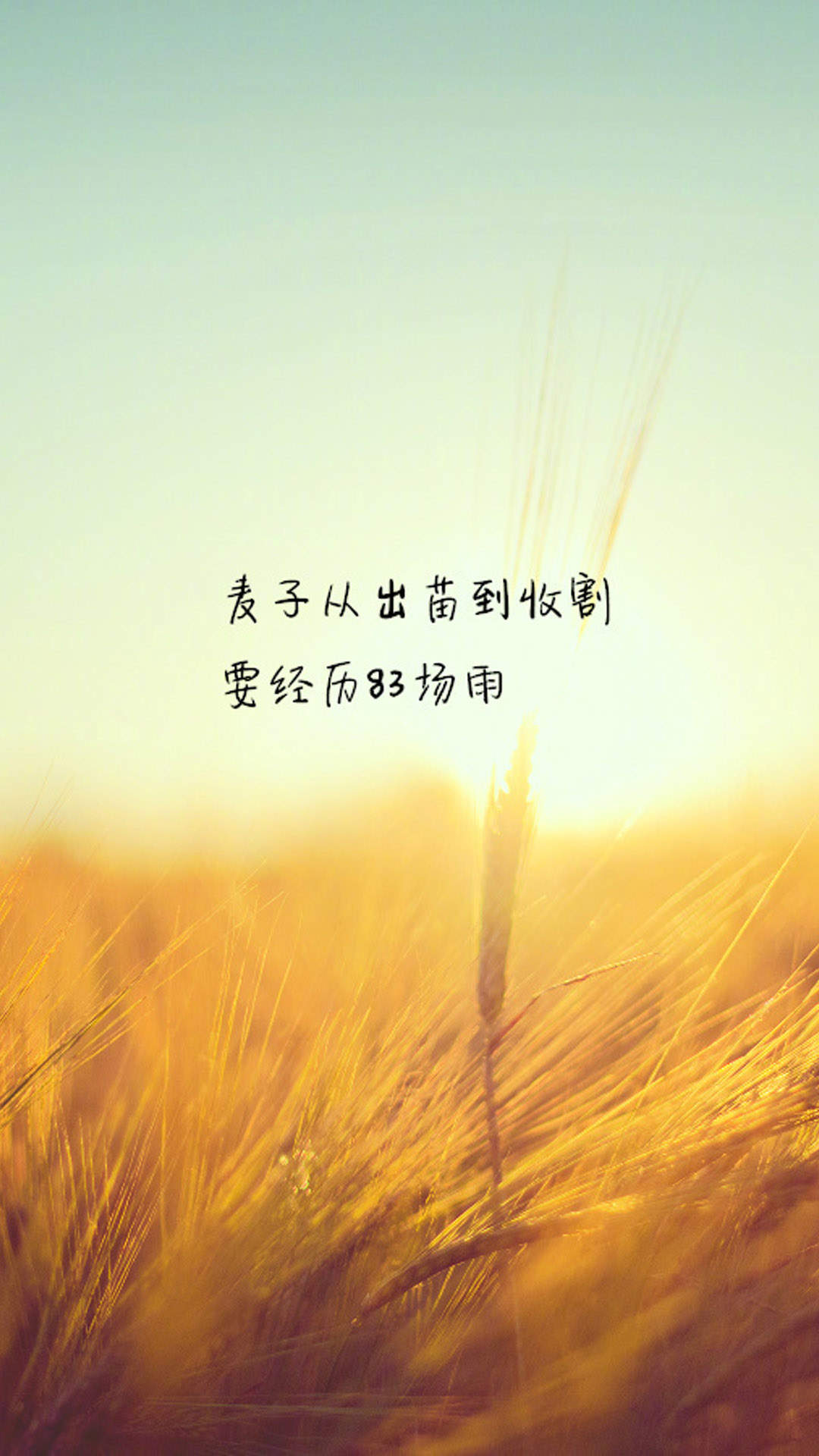创意红色励志文字高清手机壁纸图片