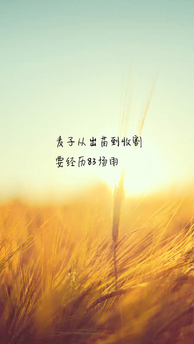 那英潮装现身机场 一路热聊心情好图片