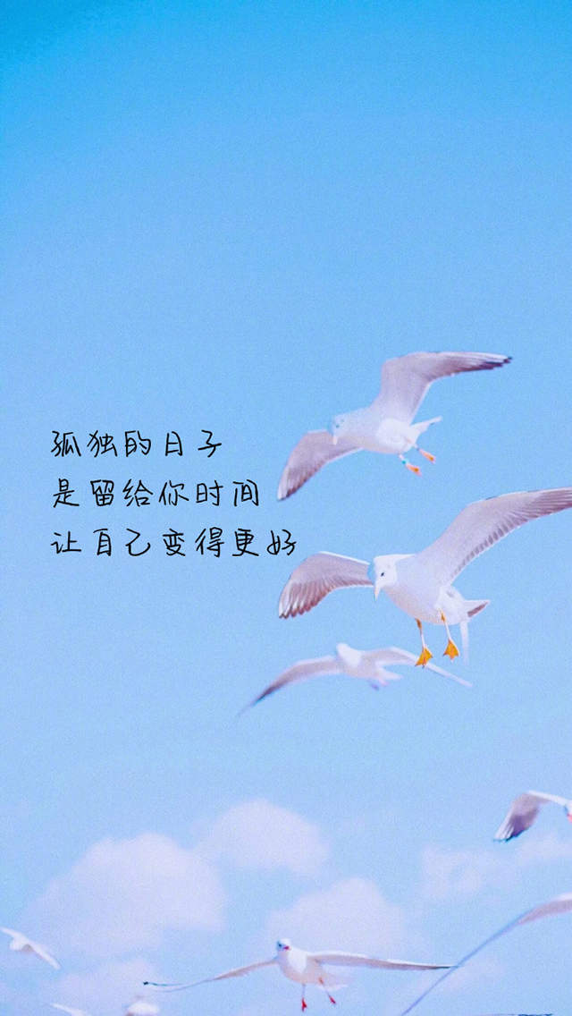 简约趣味文字控图片手机壁纸图片