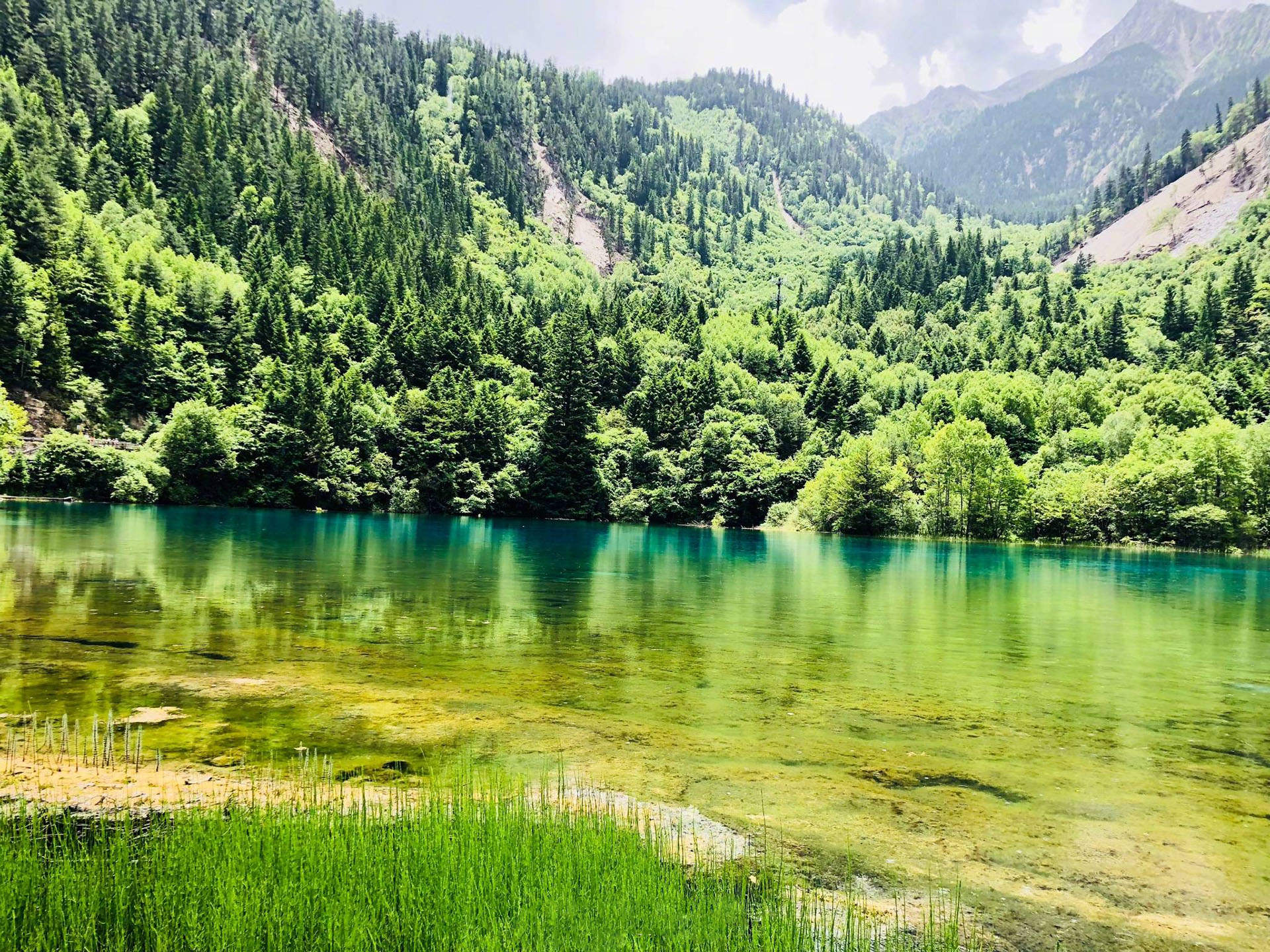 高清美景九寨沟唯美自然风景手机壁纸图片