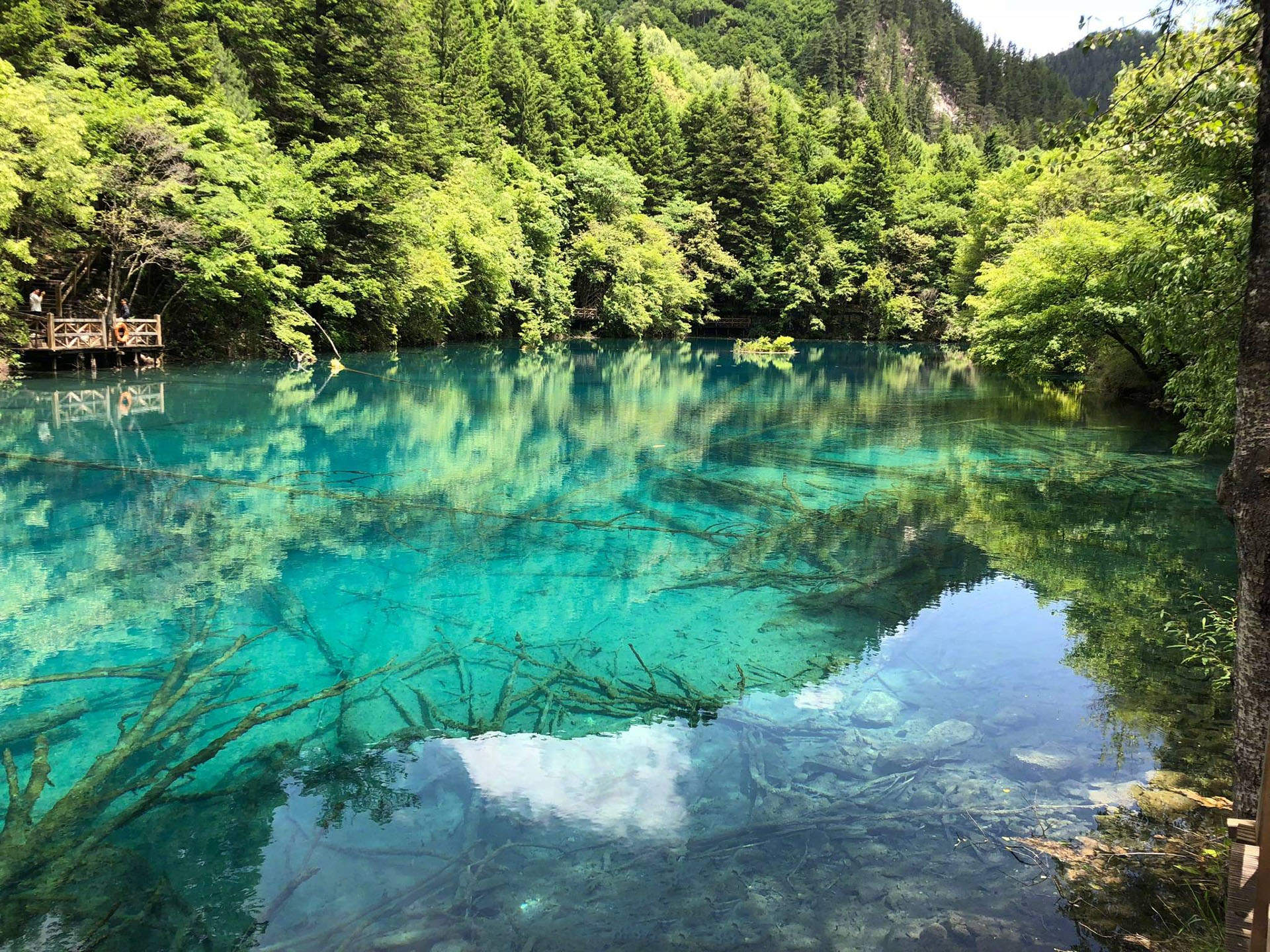 高清美景九寨沟唯美自然风景手机壁纸图片