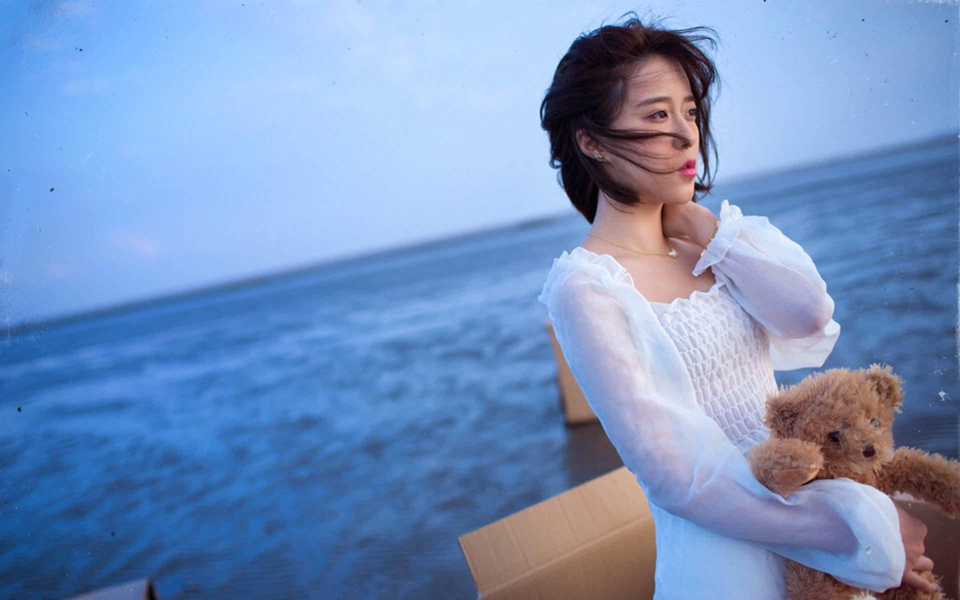 旧金山海边的浪漫情人节图片