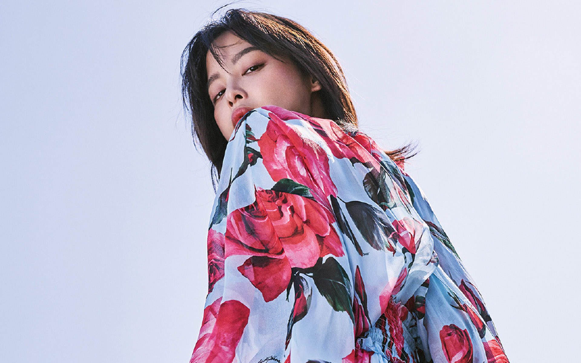 辛芷蕾图片