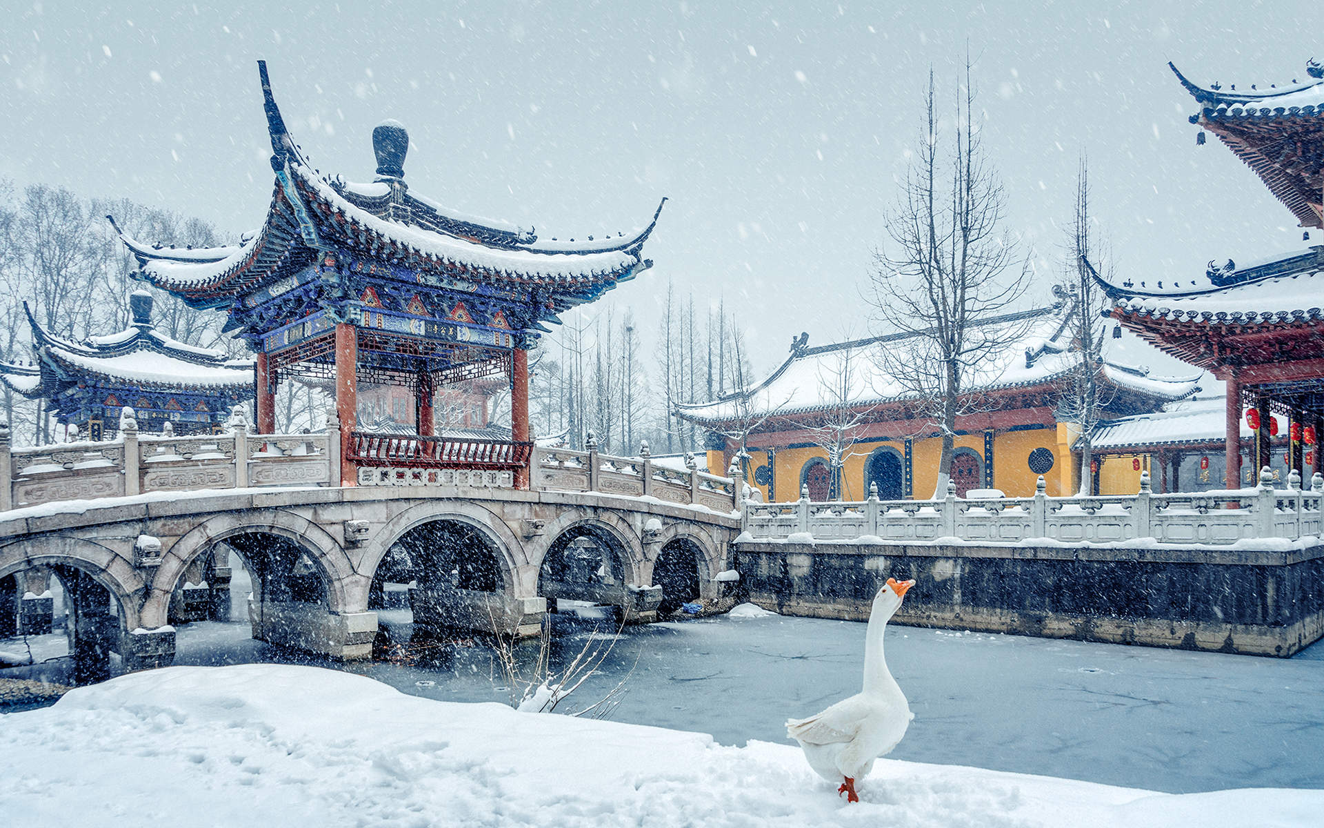 冬天雪景唯美手机壁纸图片图片