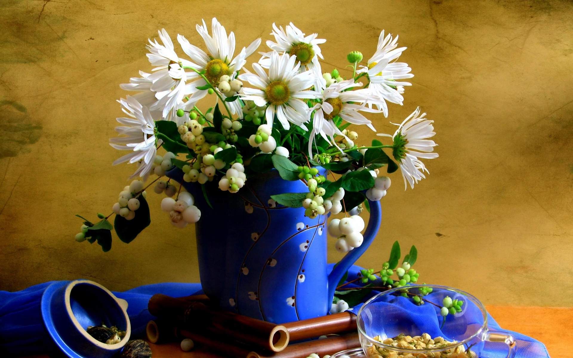 菊花图片